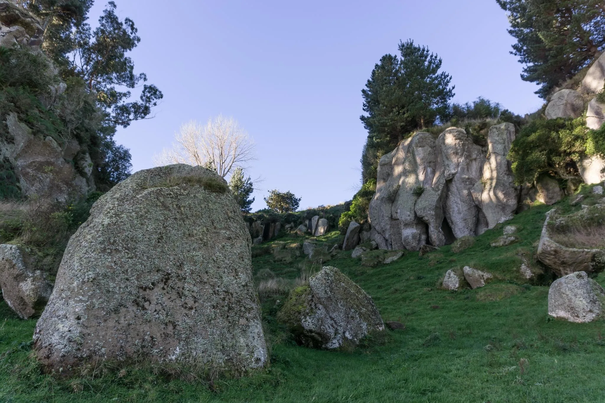 266 photos of Porous Limestone Cliffs