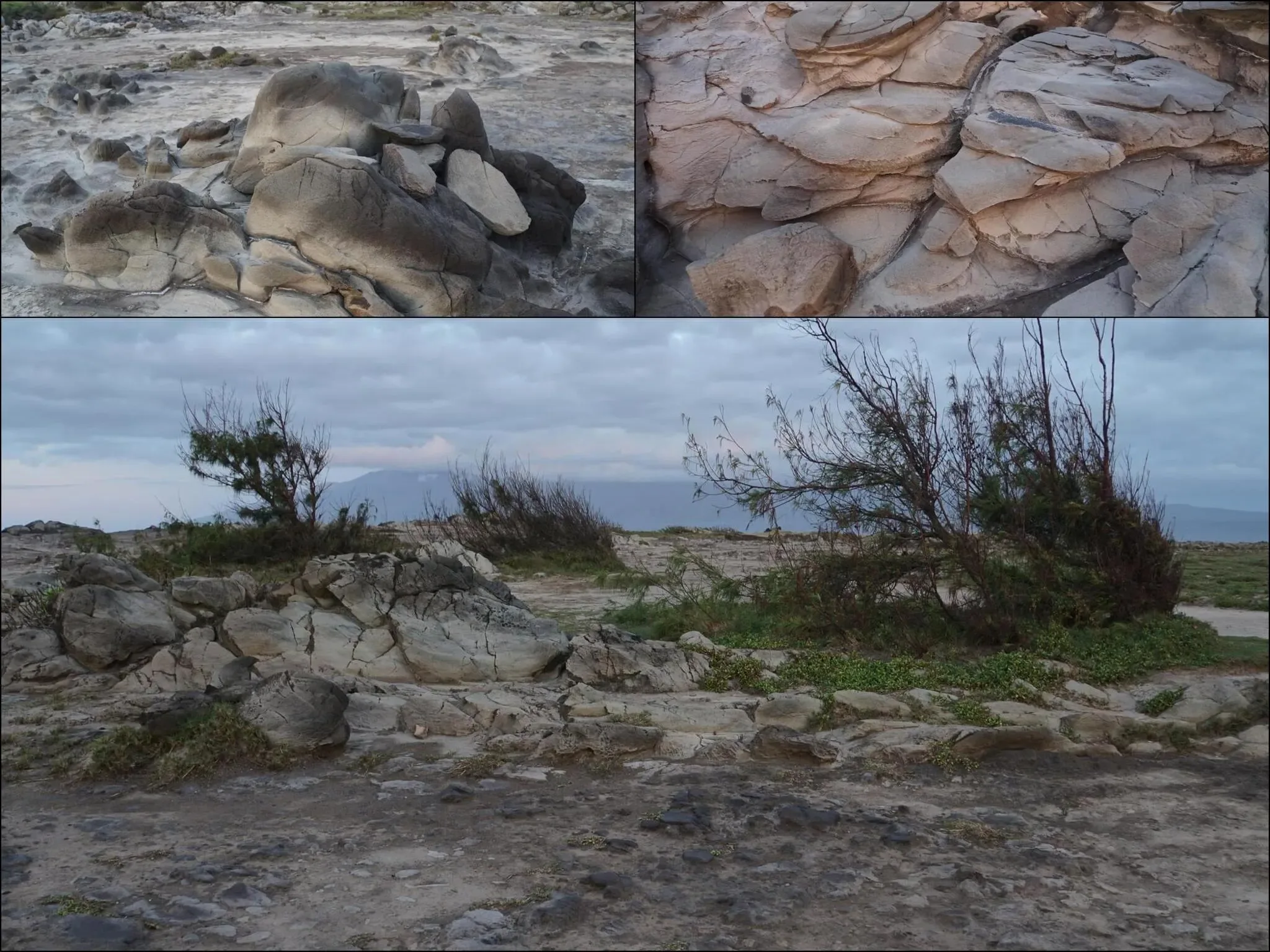 240 photos of Dragon Teeth Stones