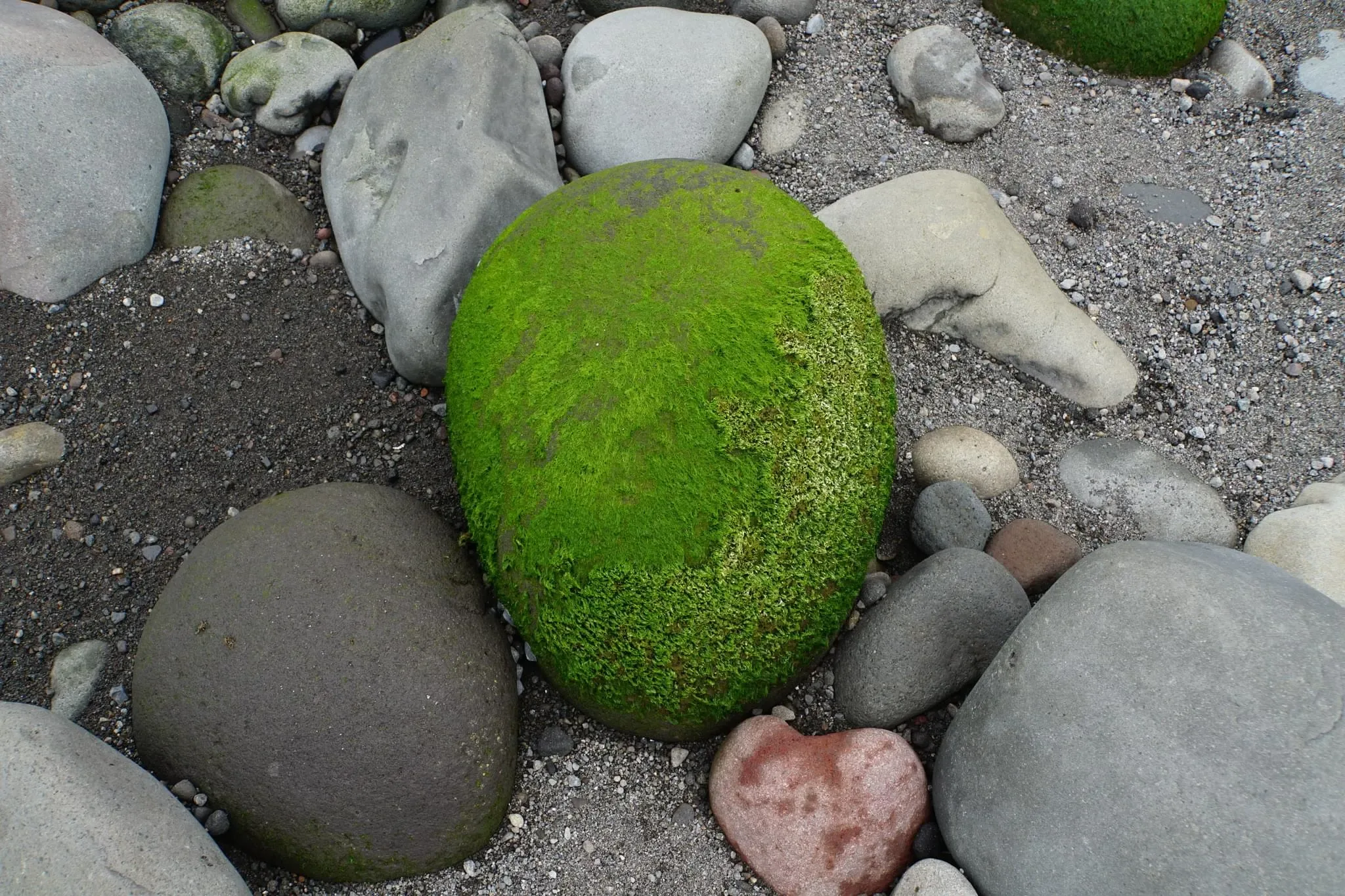 61 photos of Wet Green Mossy Pebbles