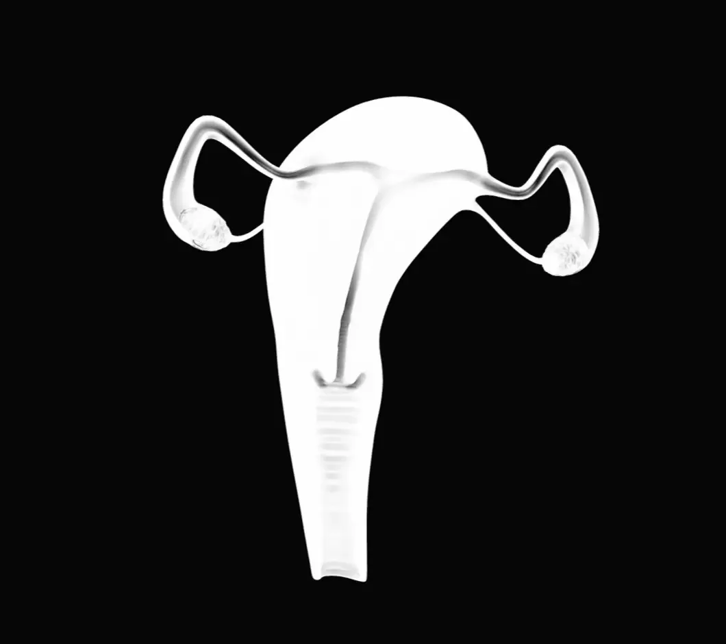 Female Reproductive System