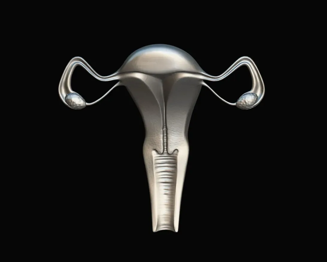 Female Reproductive System