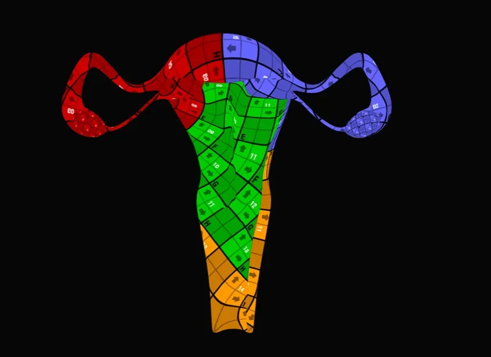 Female Reproductive System