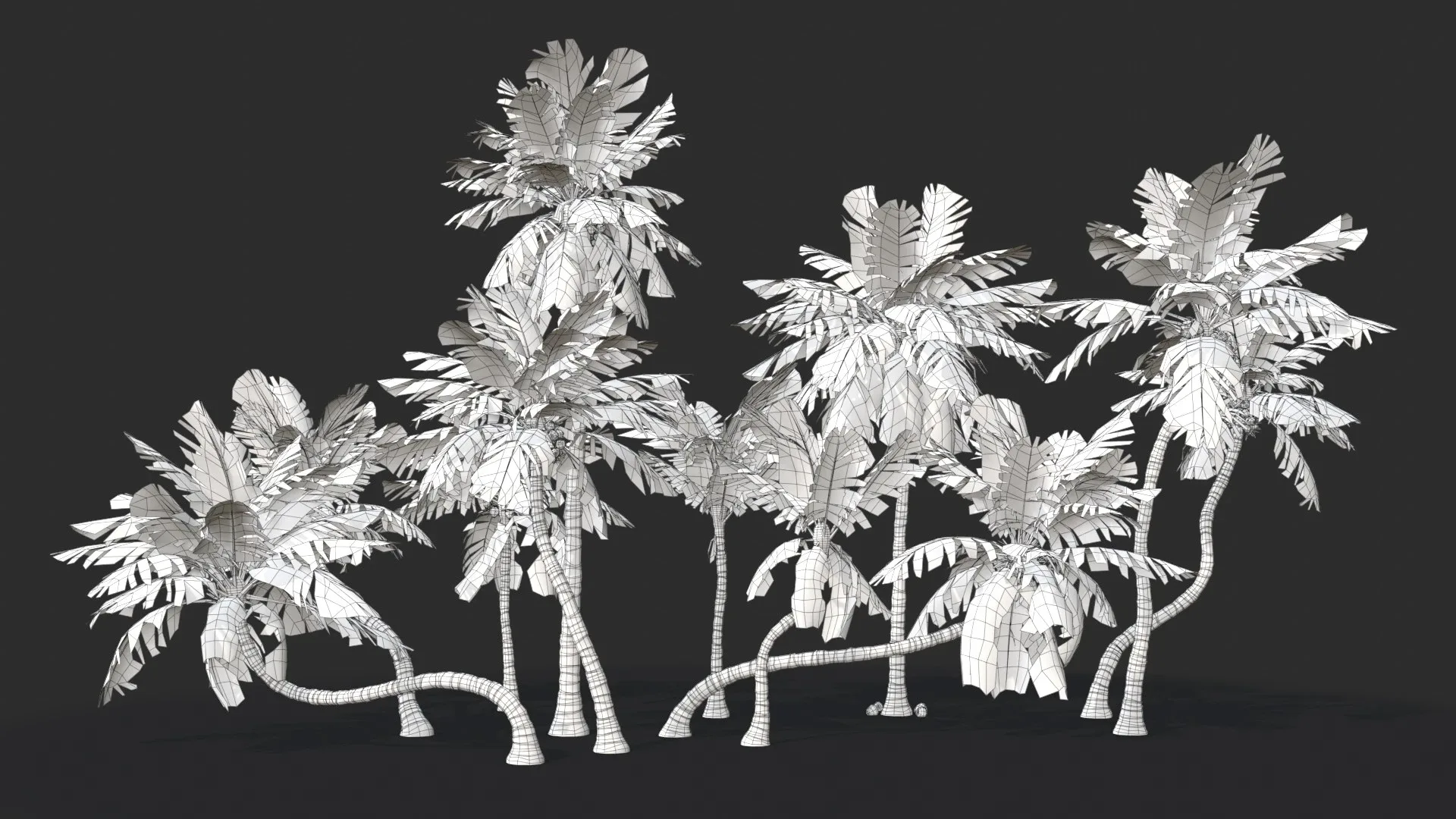 Modular Coconut Palm Trees - Cocos Nucifera