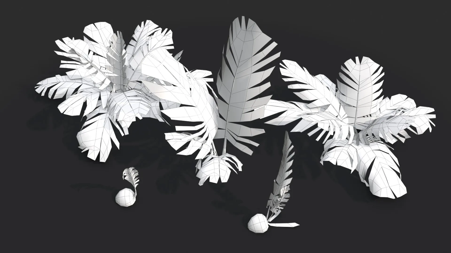 Modular Coconut Palm Trees - Cocos Nucifera