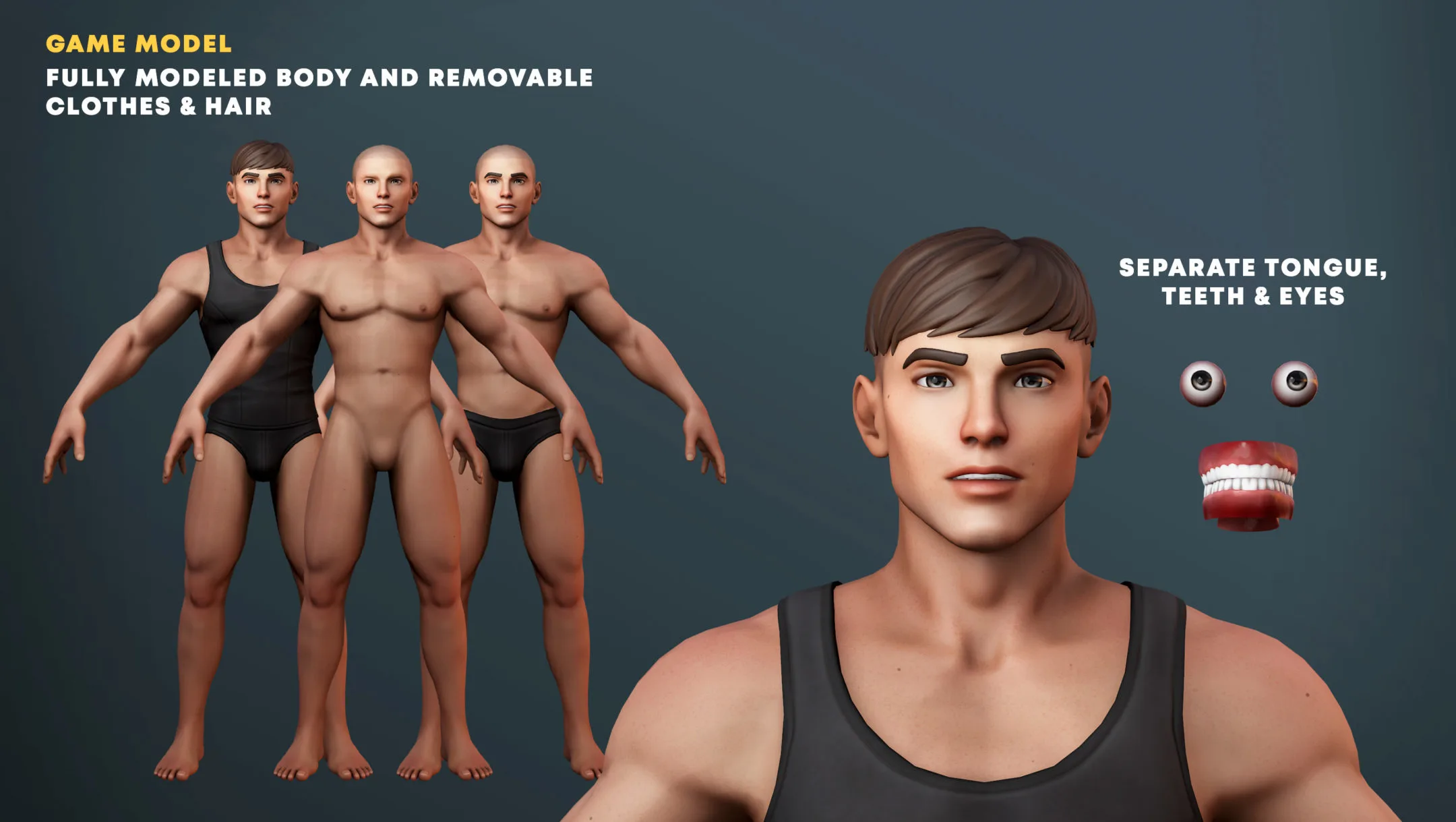 Stylized Buff Male Game Model & Basemesh