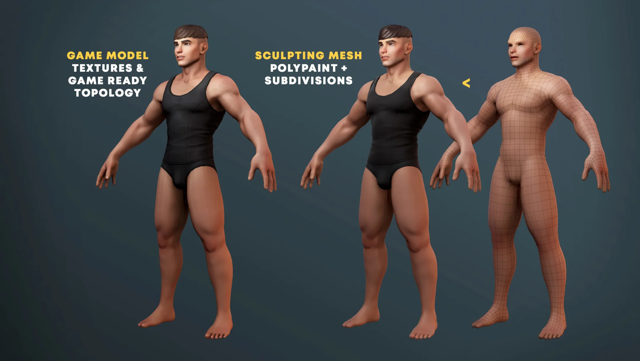 Stylized Buff Male Game Model & Basemesh