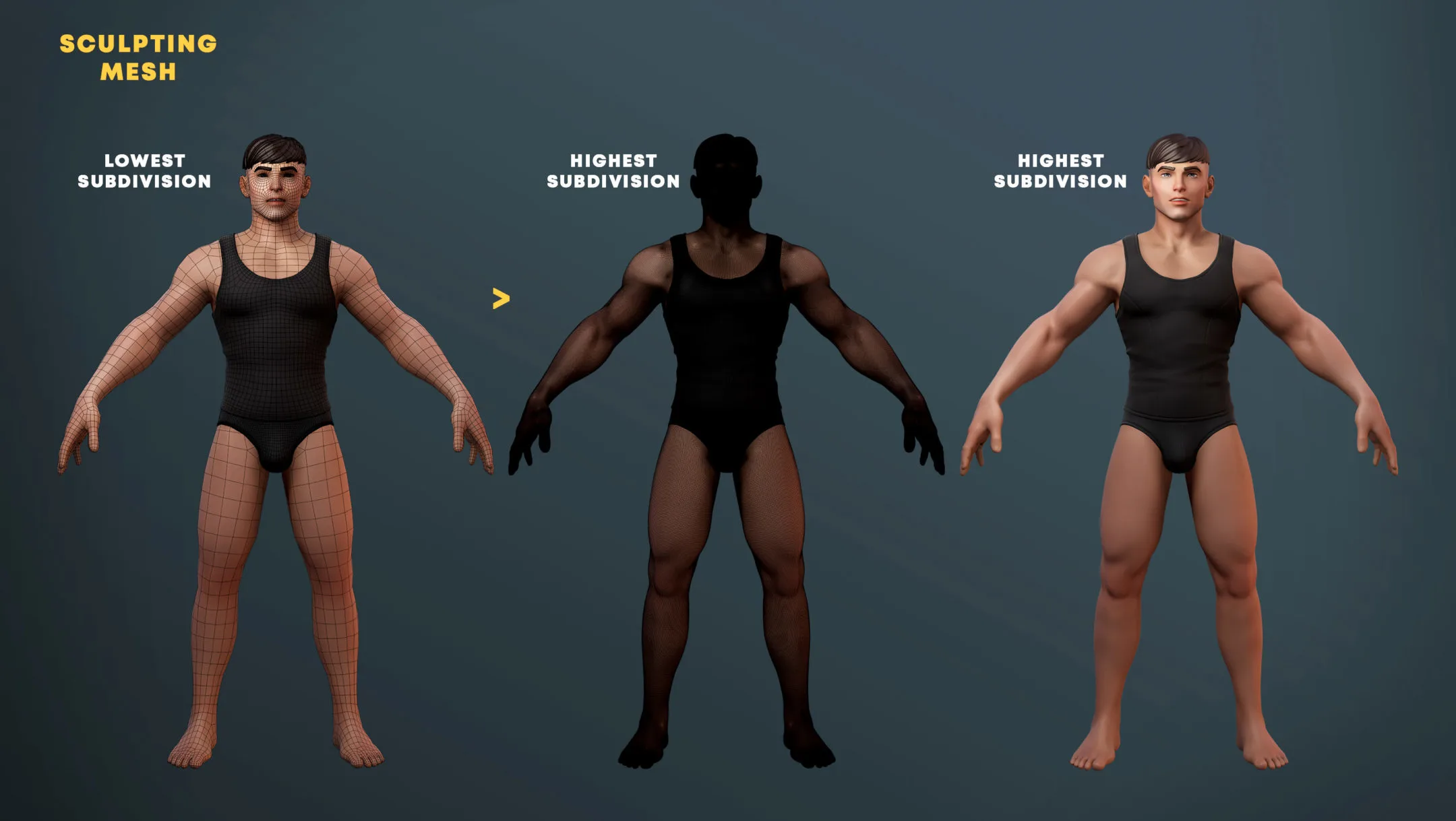 Stylized Buff Male Game Model & Basemesh