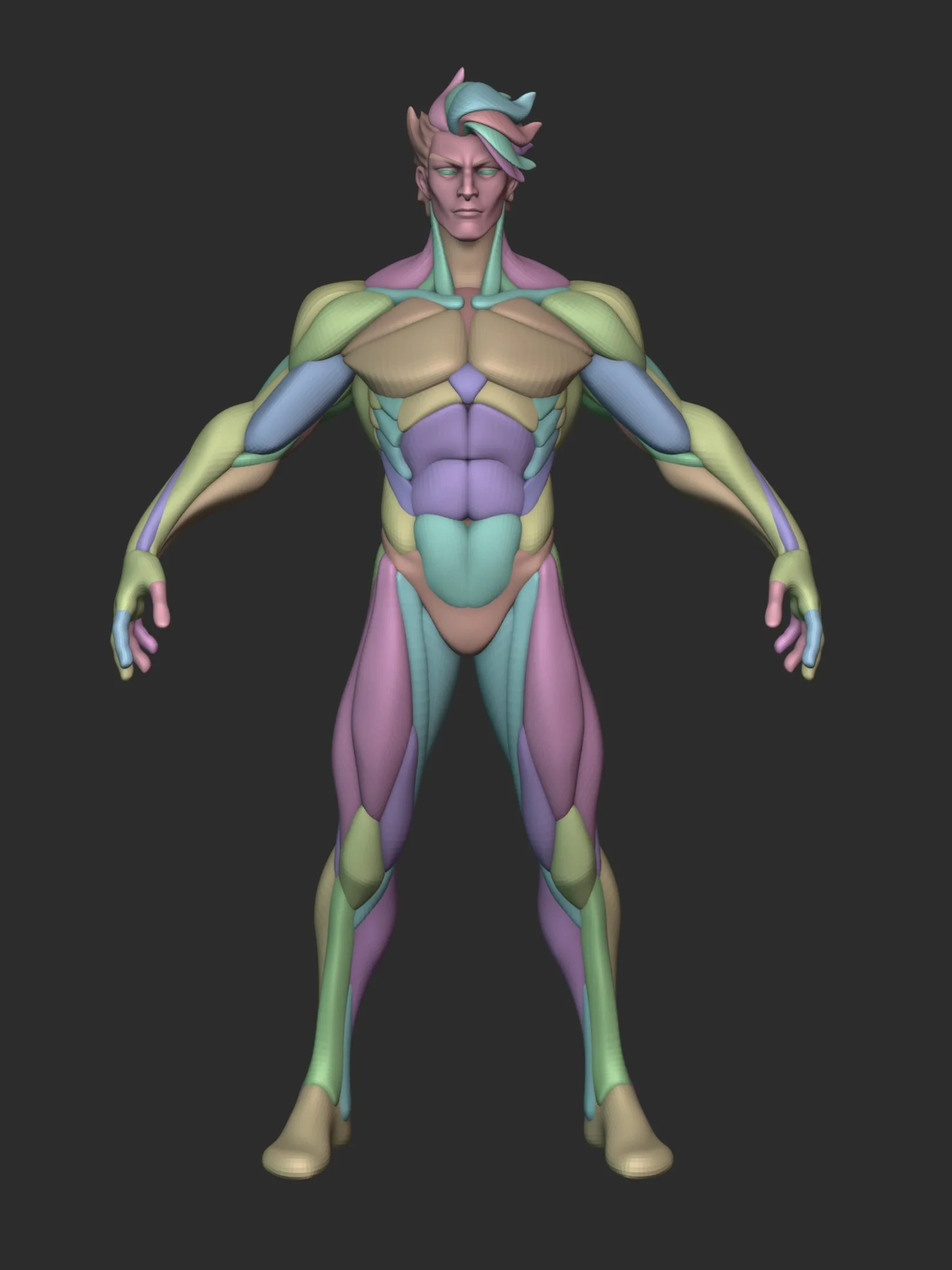 Stylized Warrior Anatomy Blckout