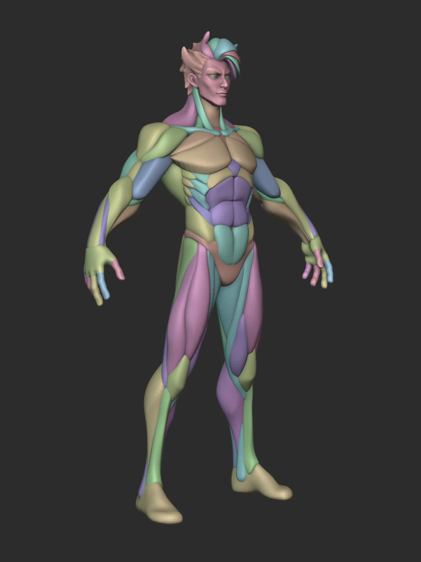 Stylized Warrior Anatomy Blckout