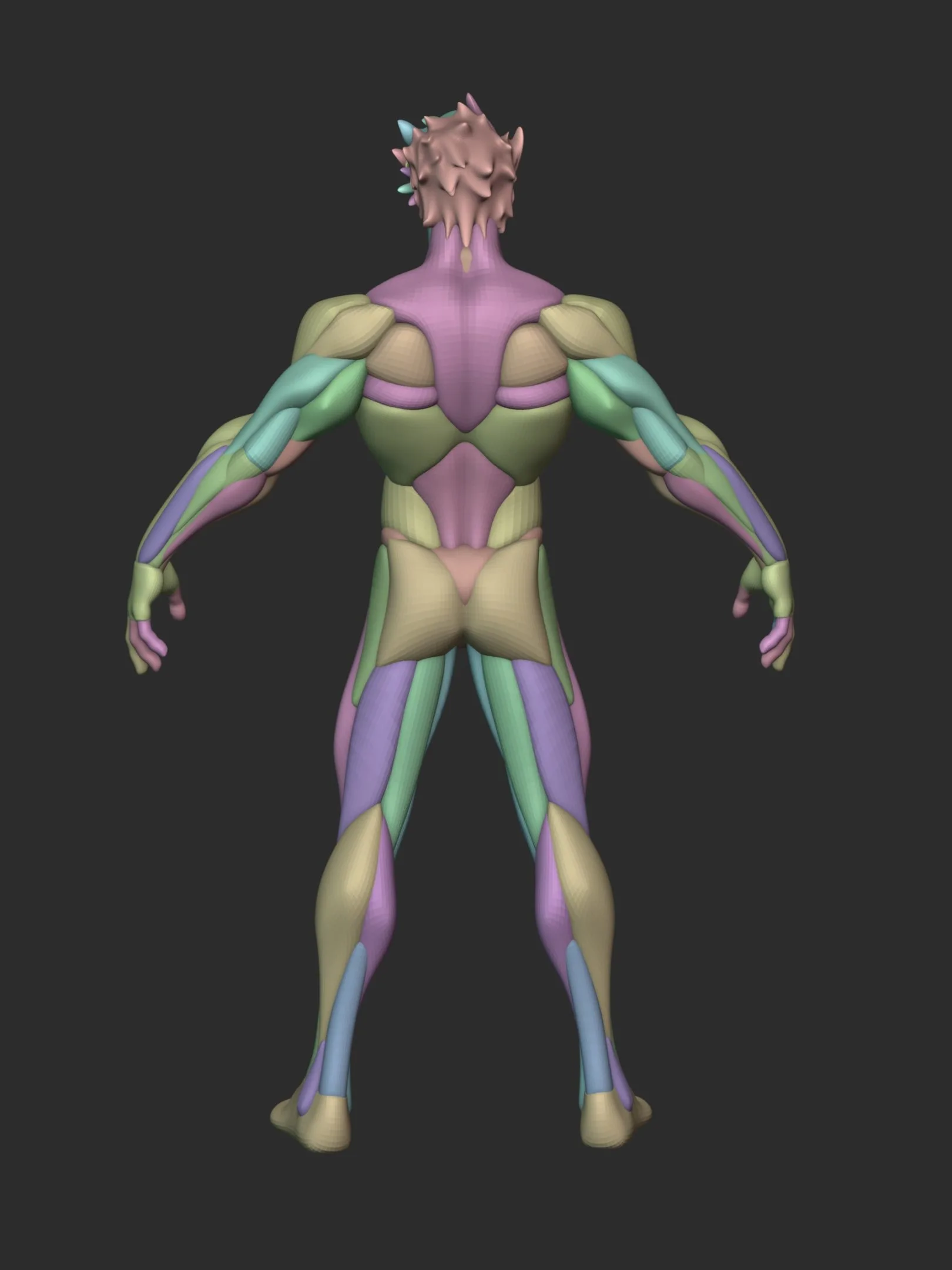 Stylized Warrior Anatomy Blckout