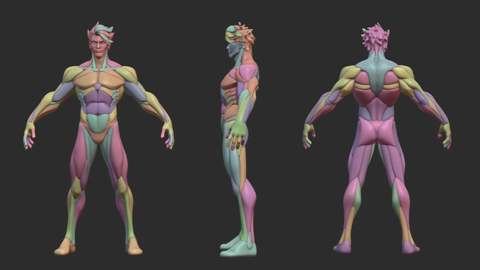 Stylized Warrior Anatomy Blckout