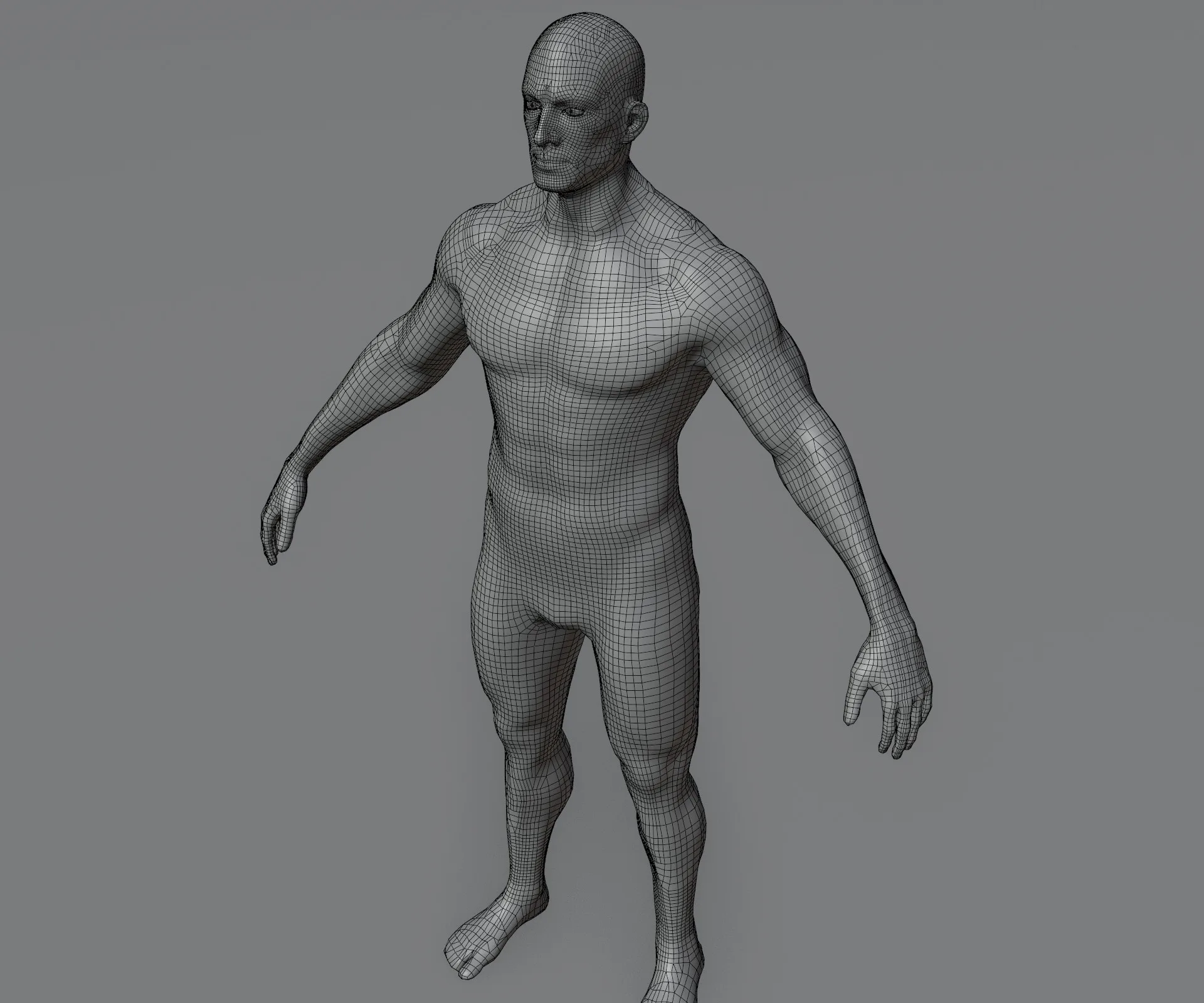 Male Body Base Mesh Animated and Rigged 3D Model 20k Polygons