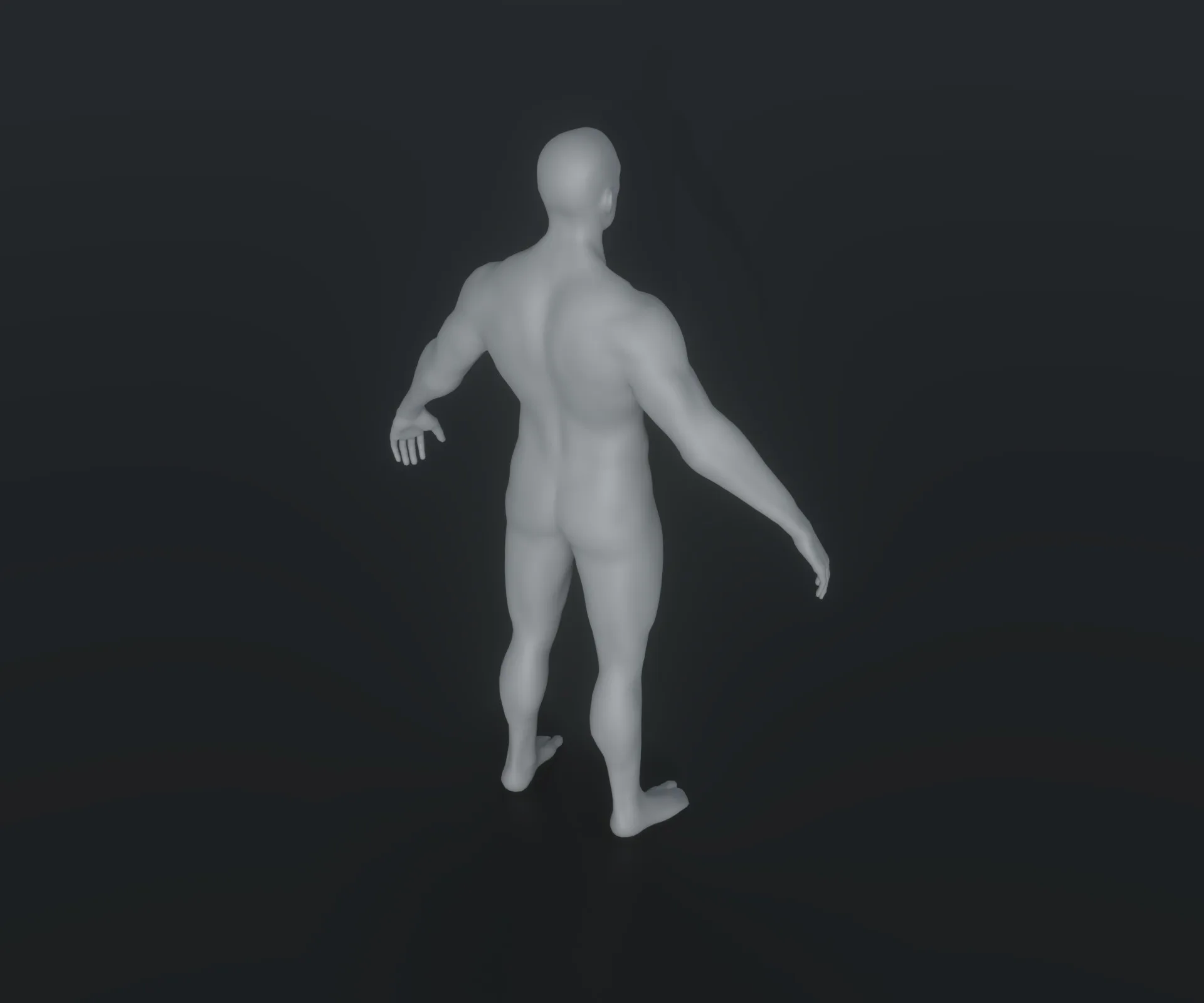 Male Body Base Mesh Animated and Rigged 3D Model 20k Polygons