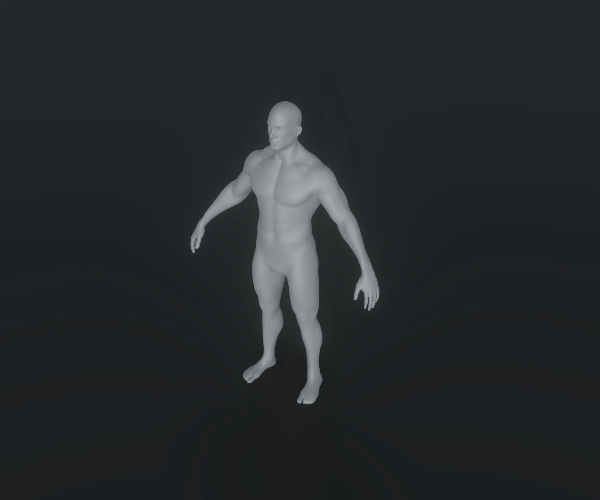 Male Body Base Mesh Animated and Rigged 3D Model 20k Polygons