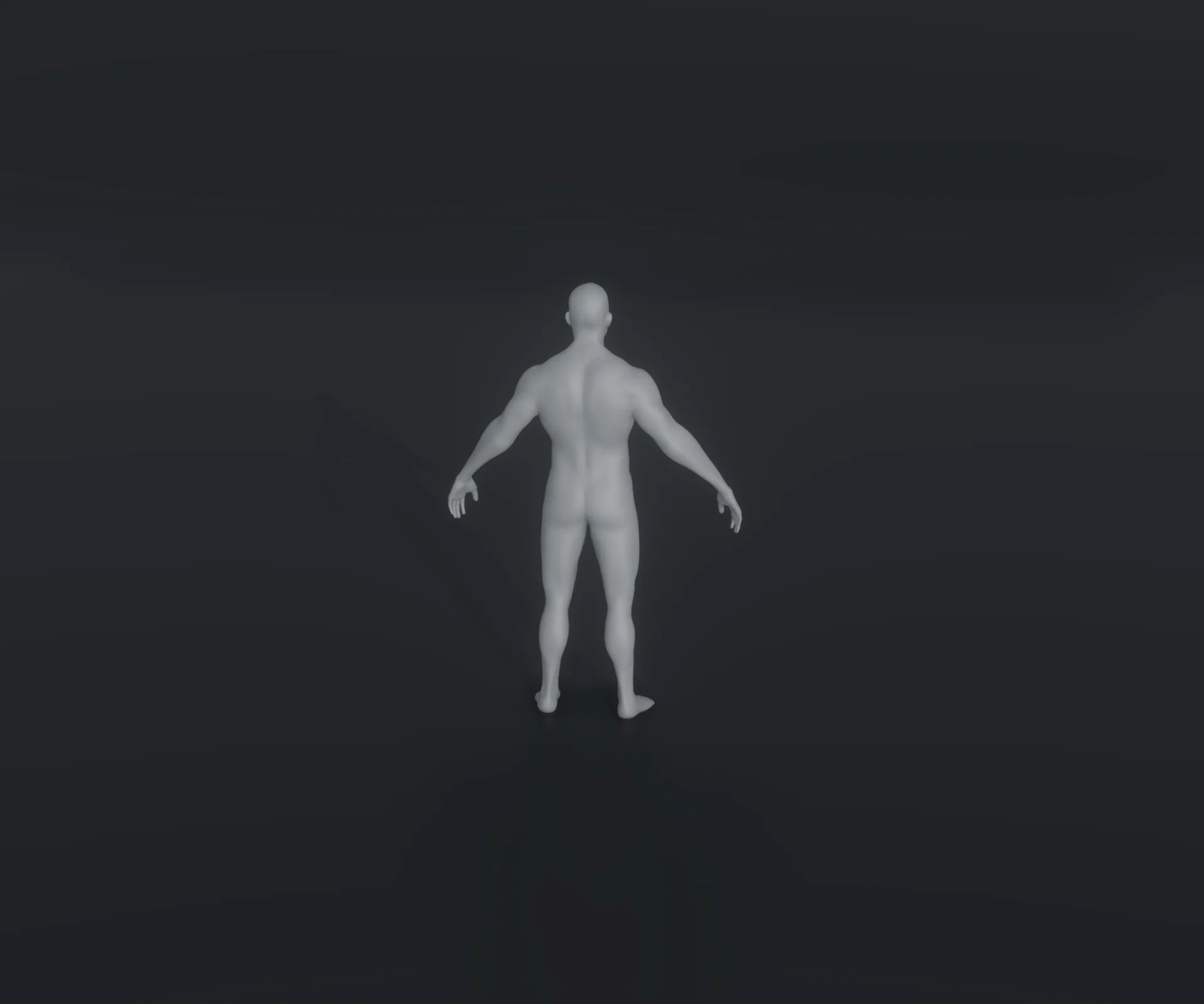 Male Body Base Mesh Animated and Rigged 3D Model 20k Polygons