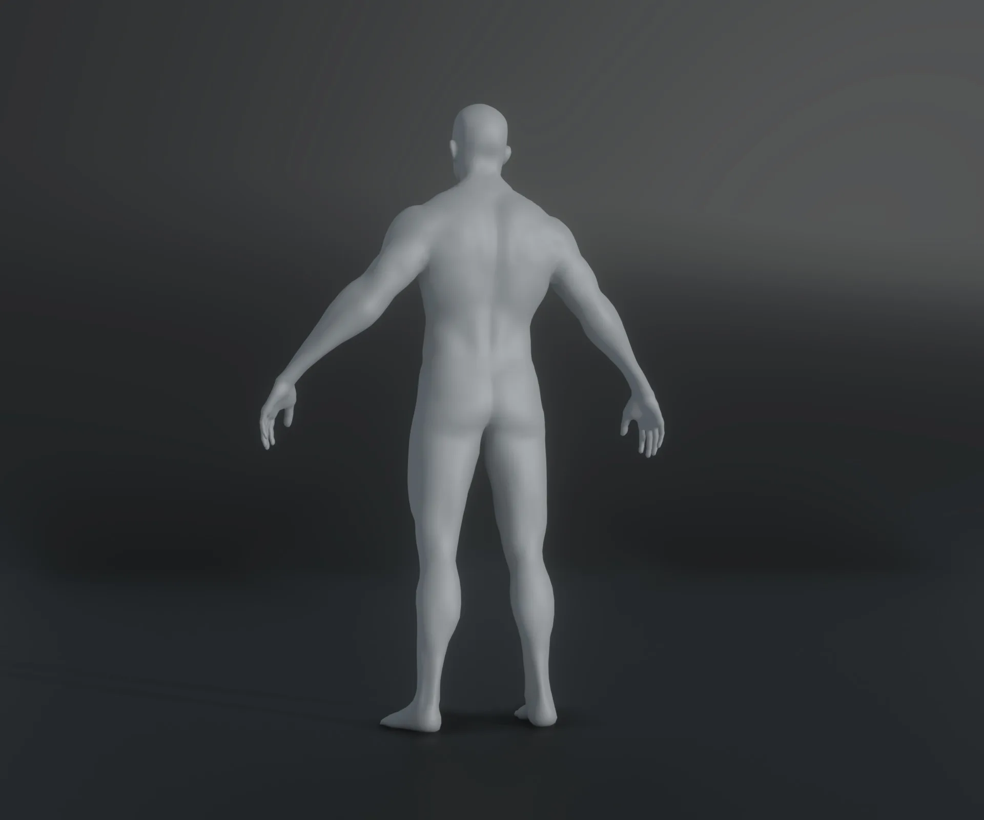 Male Body Base Mesh Animated and Rigged 3D Model 20k Polygons