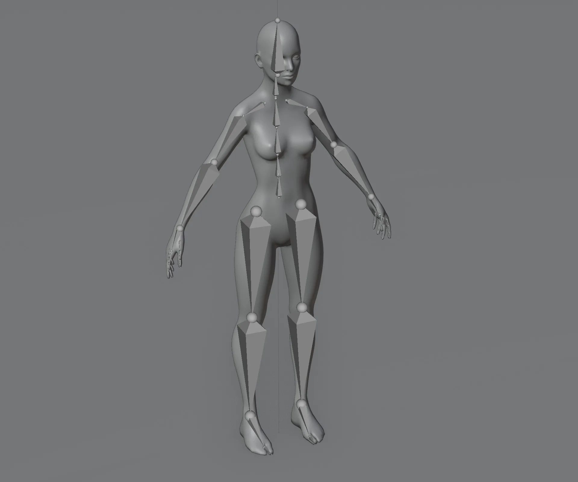 Male and Female Body Base Mesh Animated and Rigged 20k Polygons