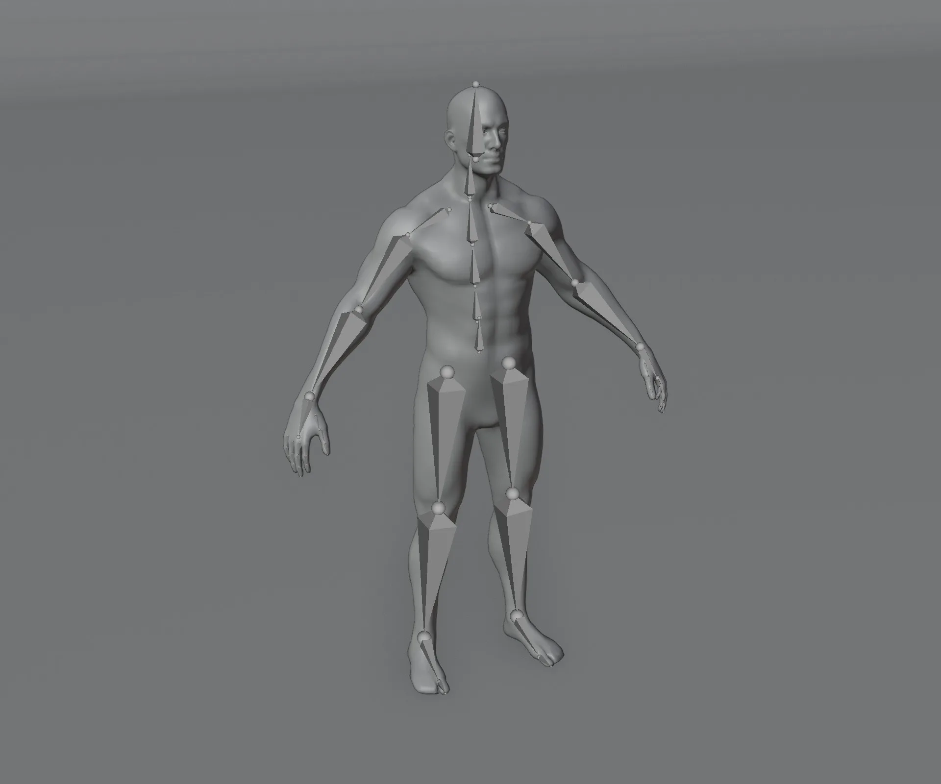 Male and Female Body Base Mesh Animated and Rigged 20k Polygons