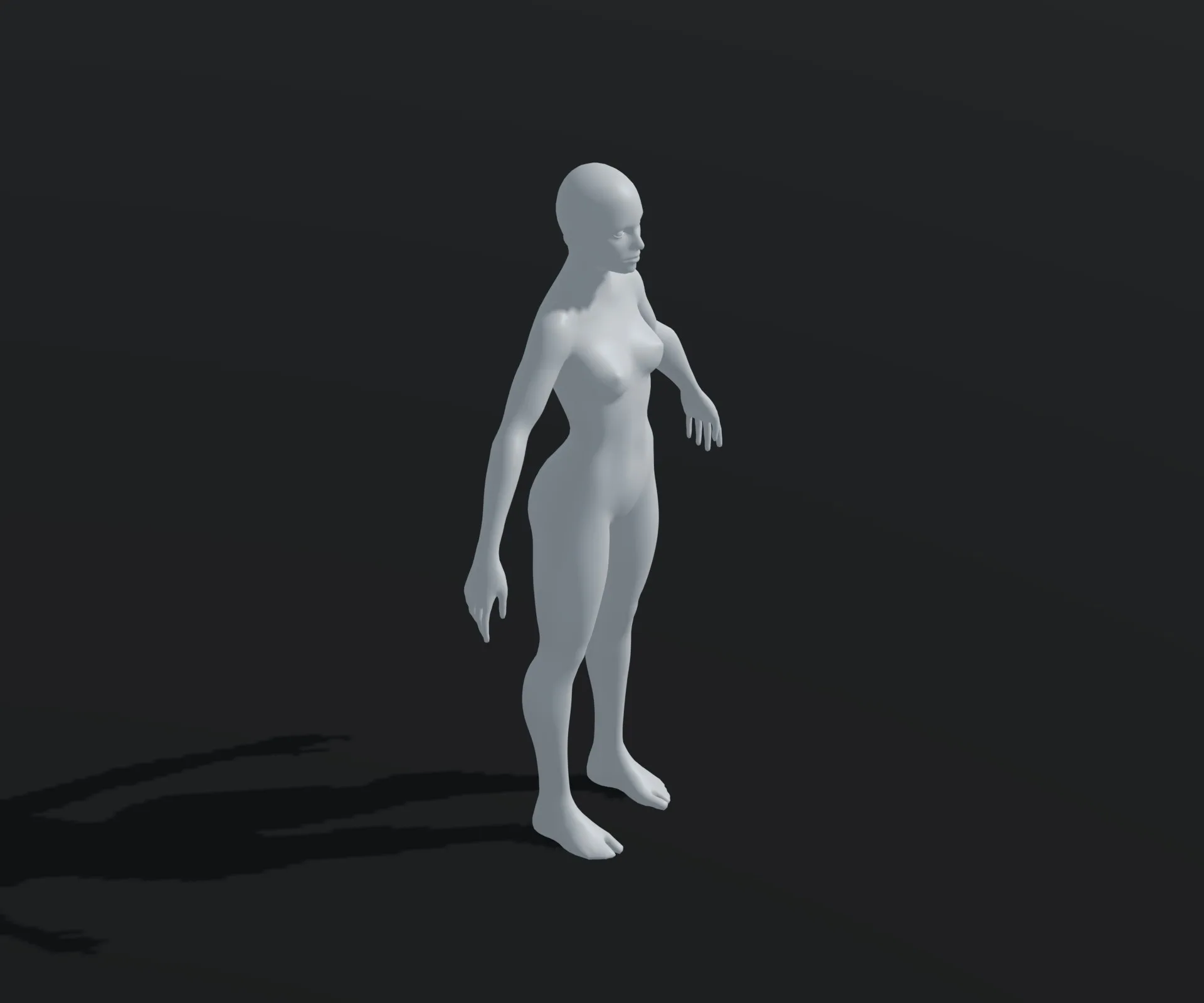 Male and Female Body Base Mesh Animated and Rigged 20k Polygons