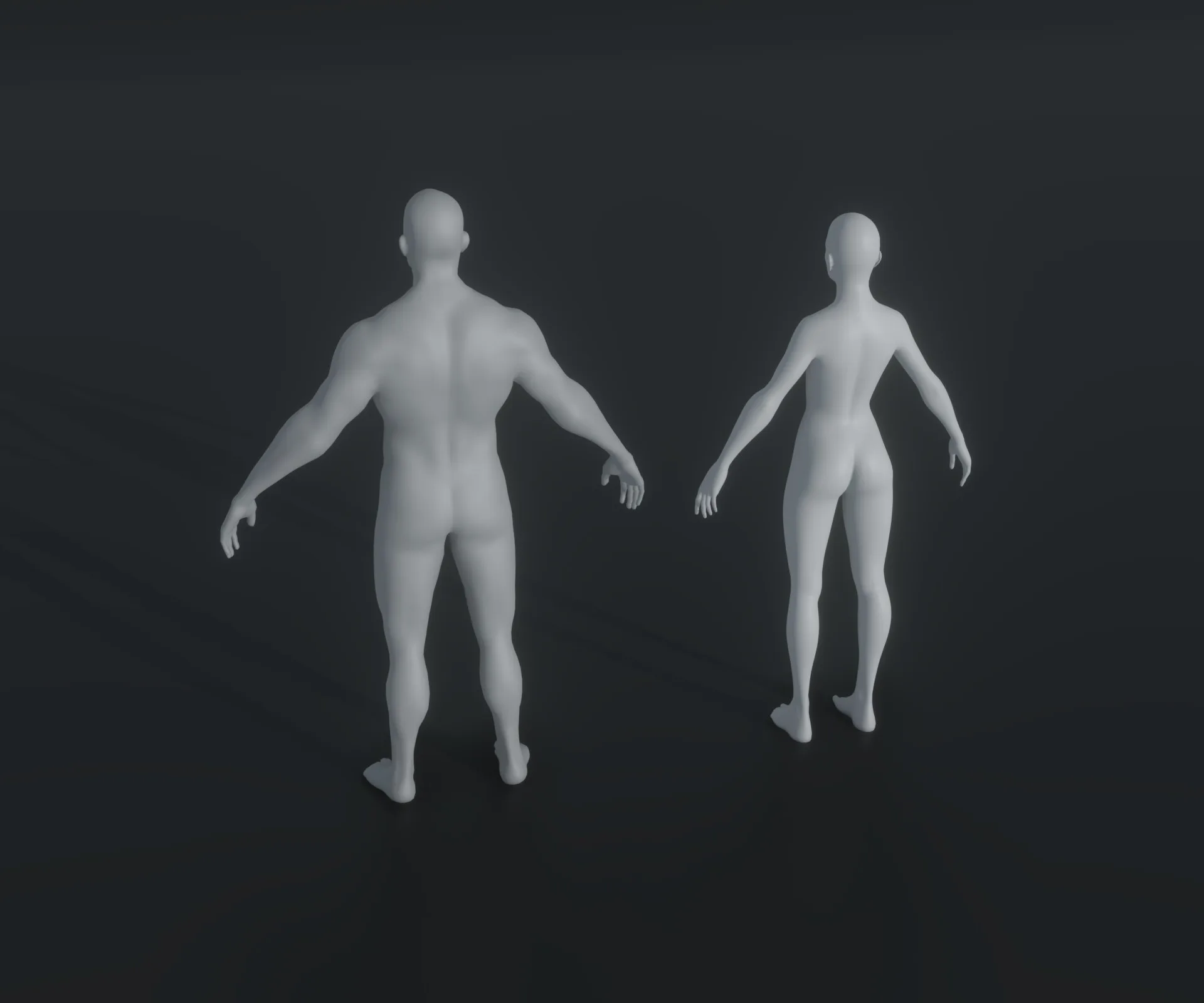 Male and Female Body Base Mesh Animated and Rigged 20k Polygons