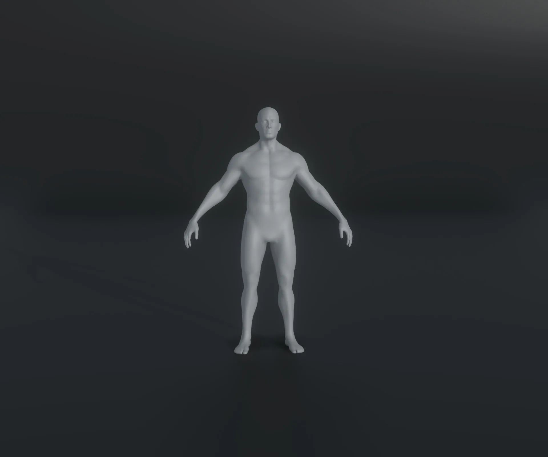 Male and Female Body Base Mesh Animated and Rigged 20k Polygons