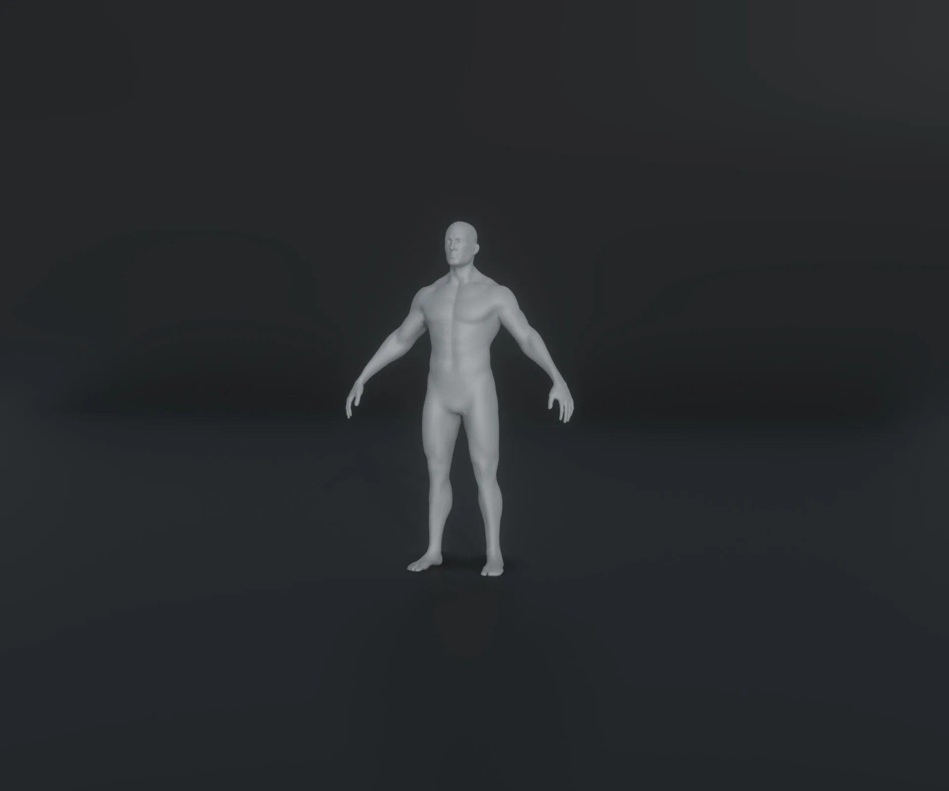 Male and Female Body Base Mesh Animated and Rigged 20k Polygons