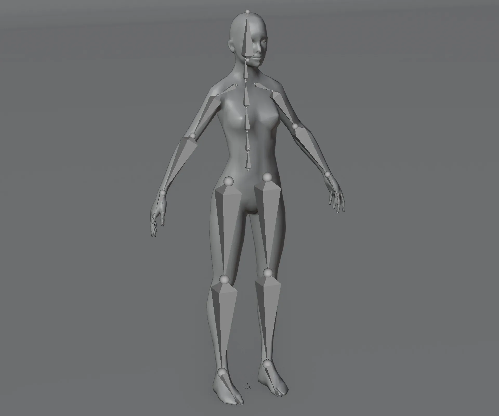 Female Body Base Mesh Animated and Rigged 3D Model