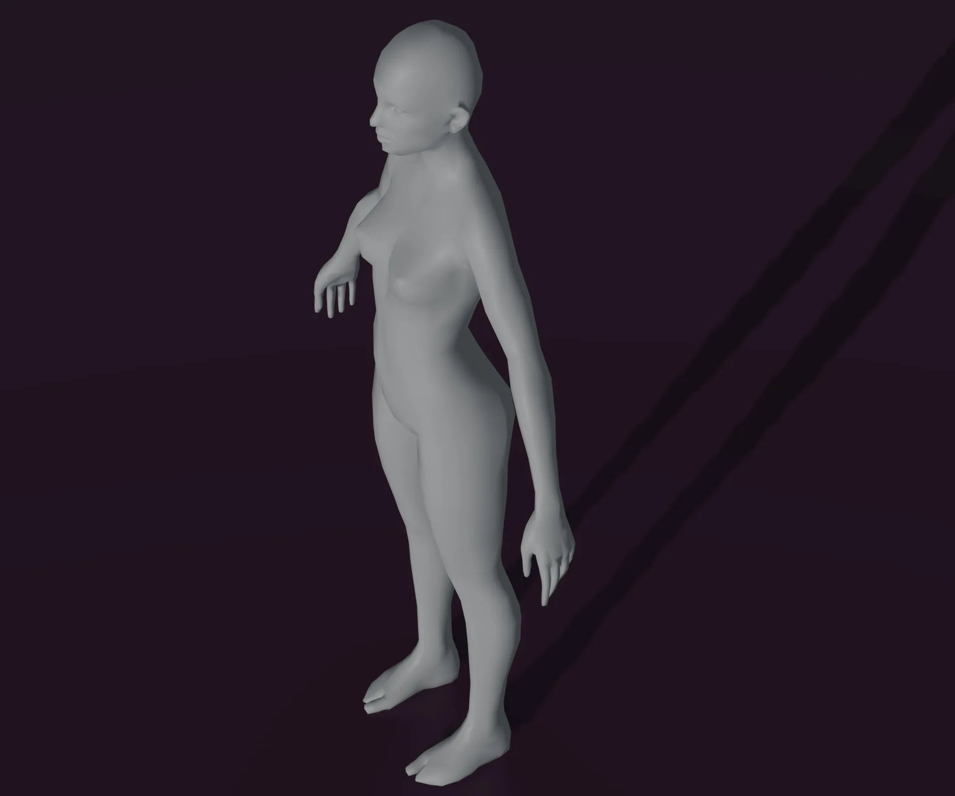 Female Body Base Mesh Animated and Rigged 3D Model