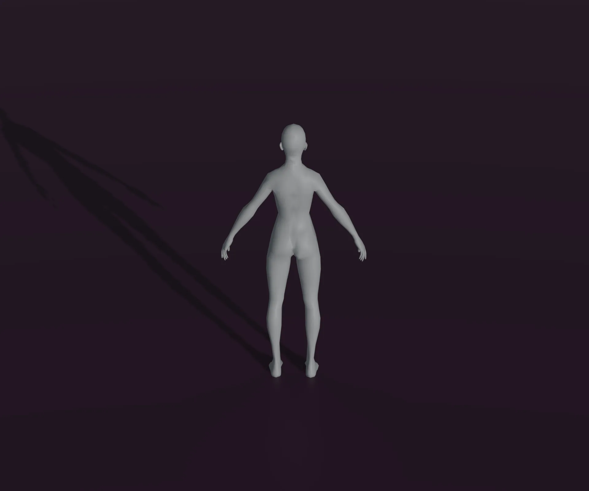 Female Body Base Mesh Animated and Rigged 3D Model