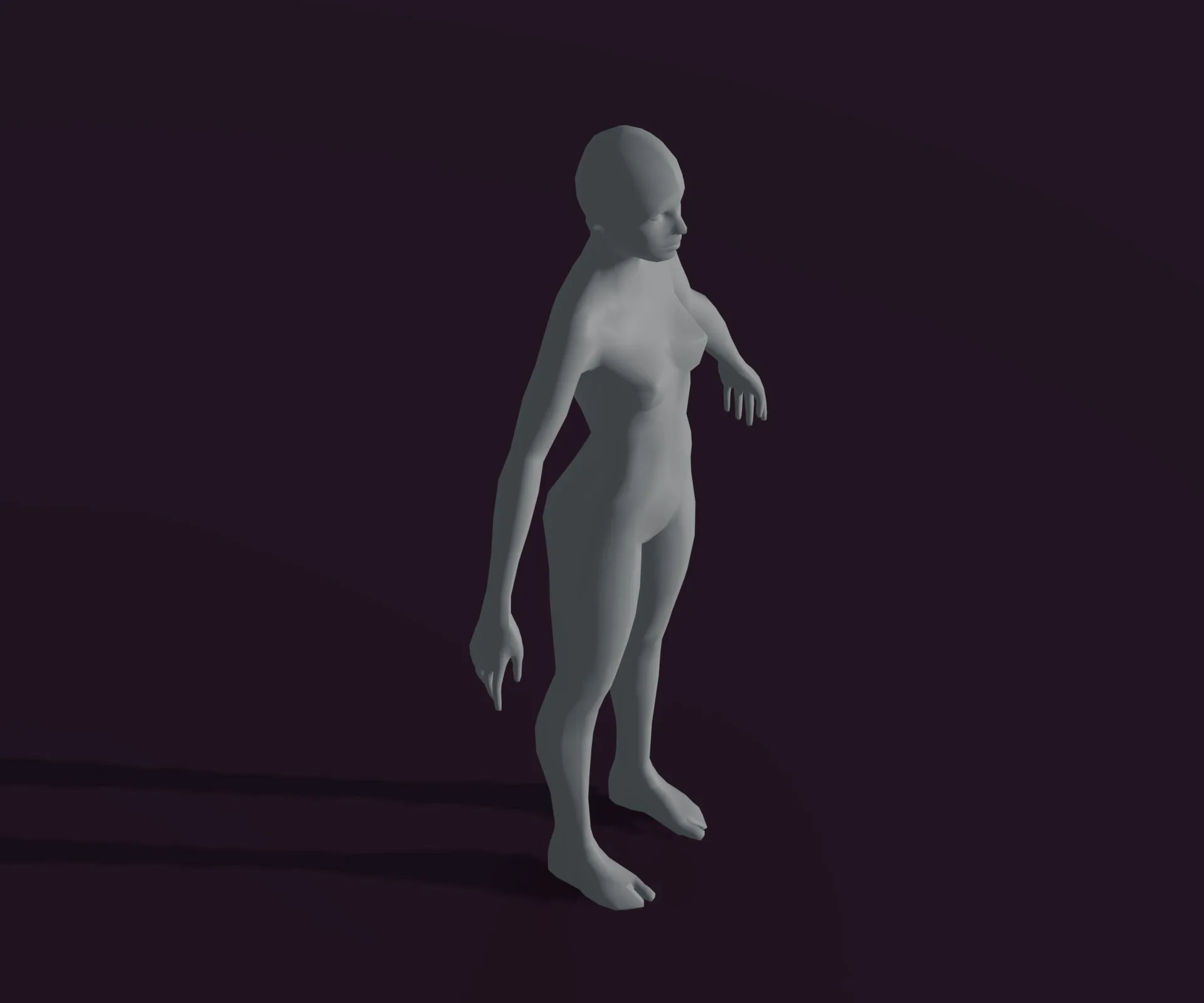 Female Body Base Mesh Animated and Rigged 3D Model