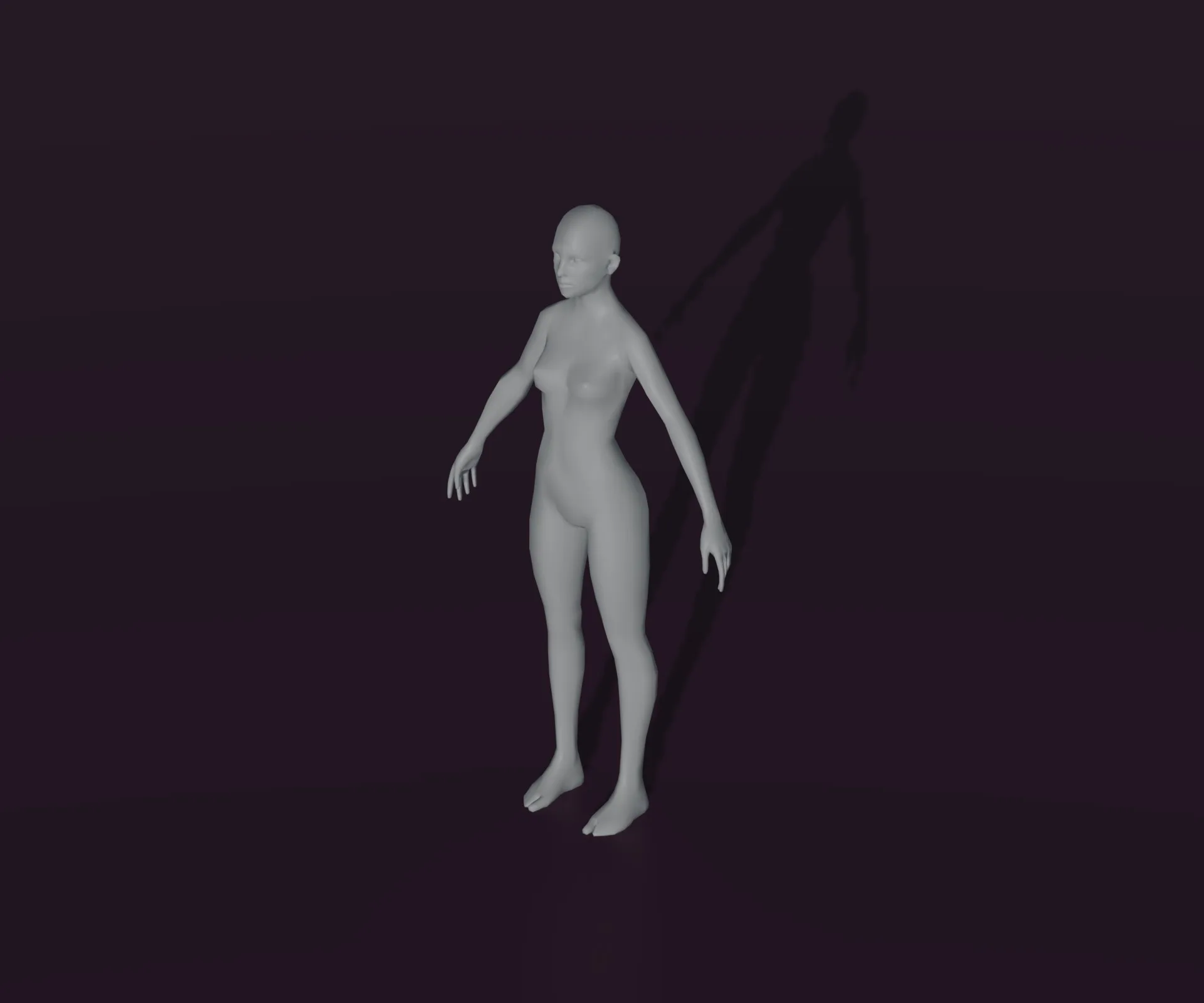 Female Body Base Mesh Animated and Rigged 3D Model