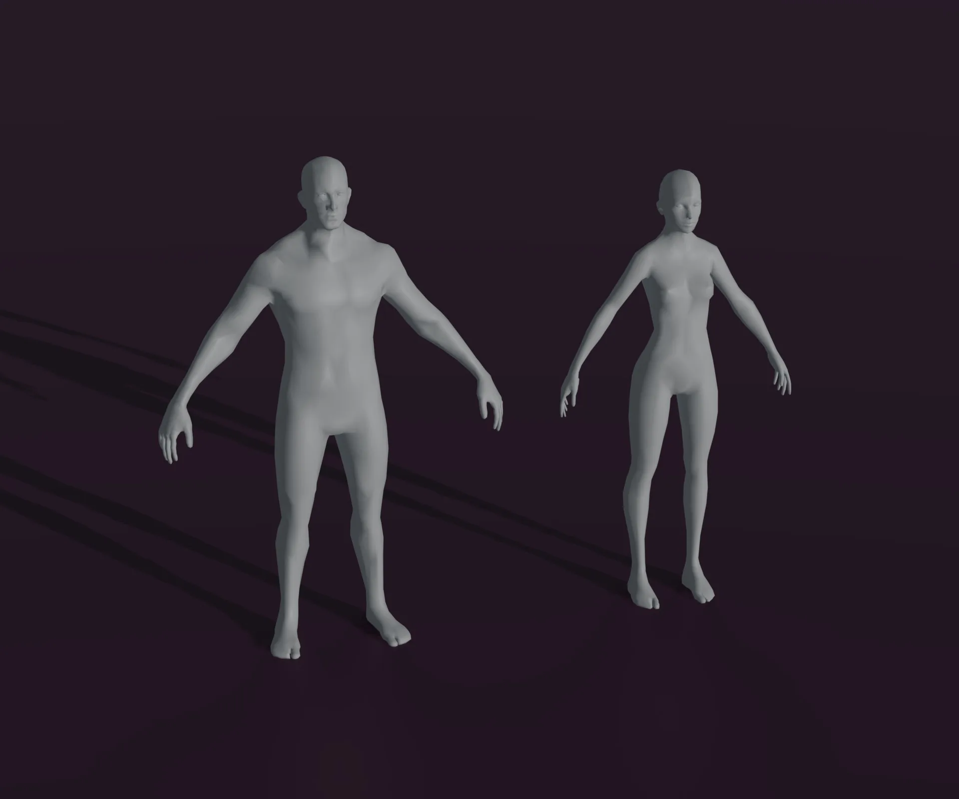 Male and Female Body Base Mesh Animated and Rigged 3D Model