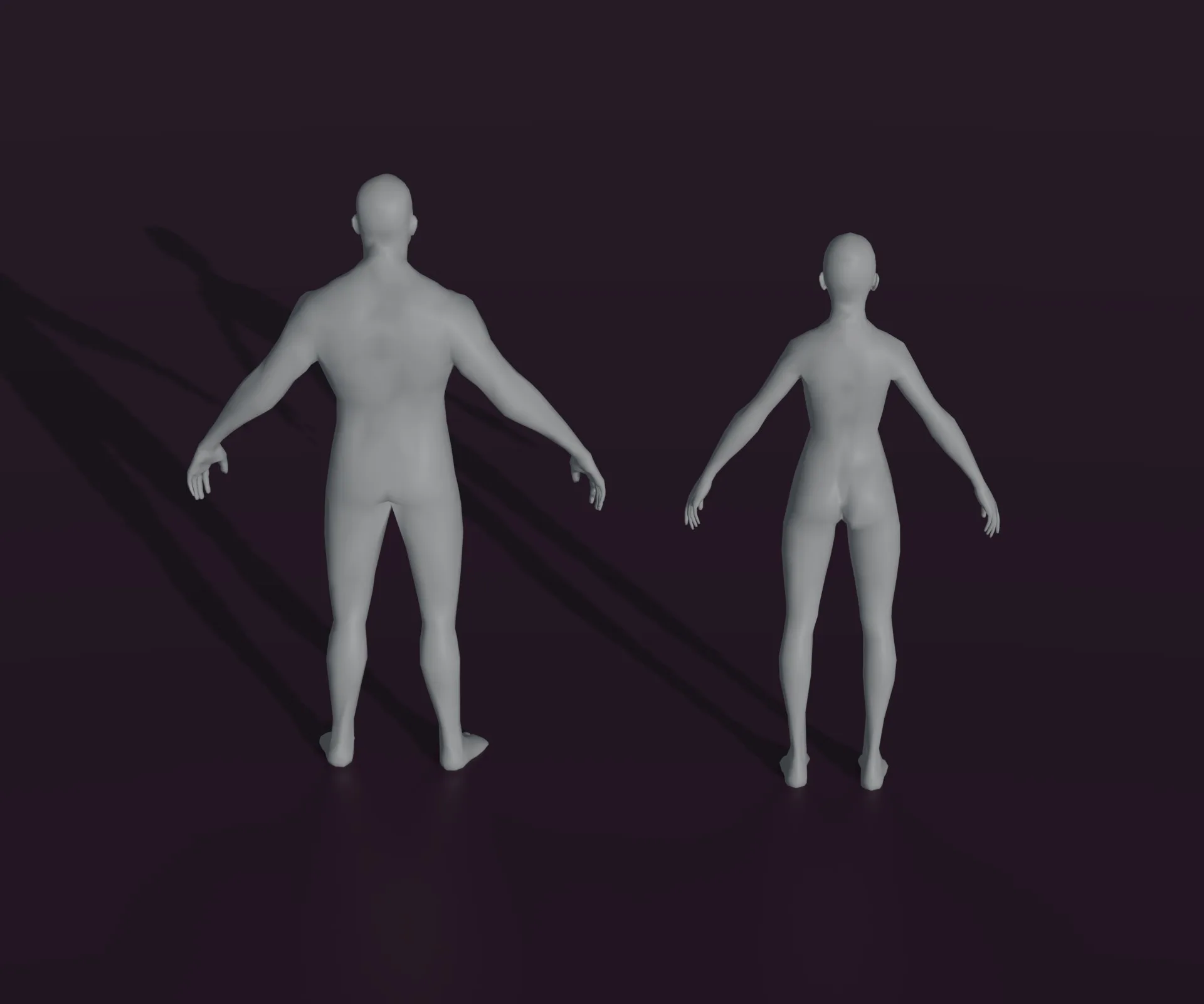 Male and Female Body Base Mesh Animated and Rigged 3D Model