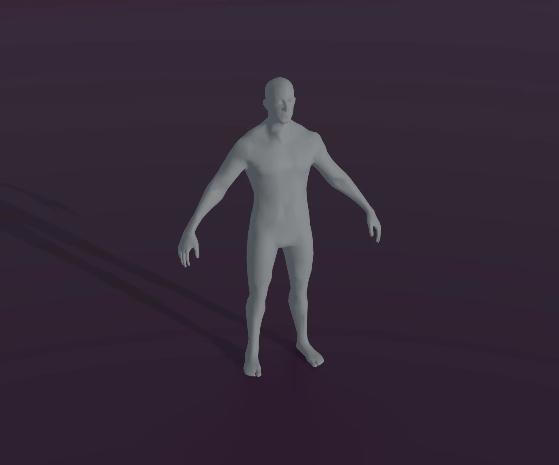 Male and Female Body Base Mesh Animated and Rigged 3D Model