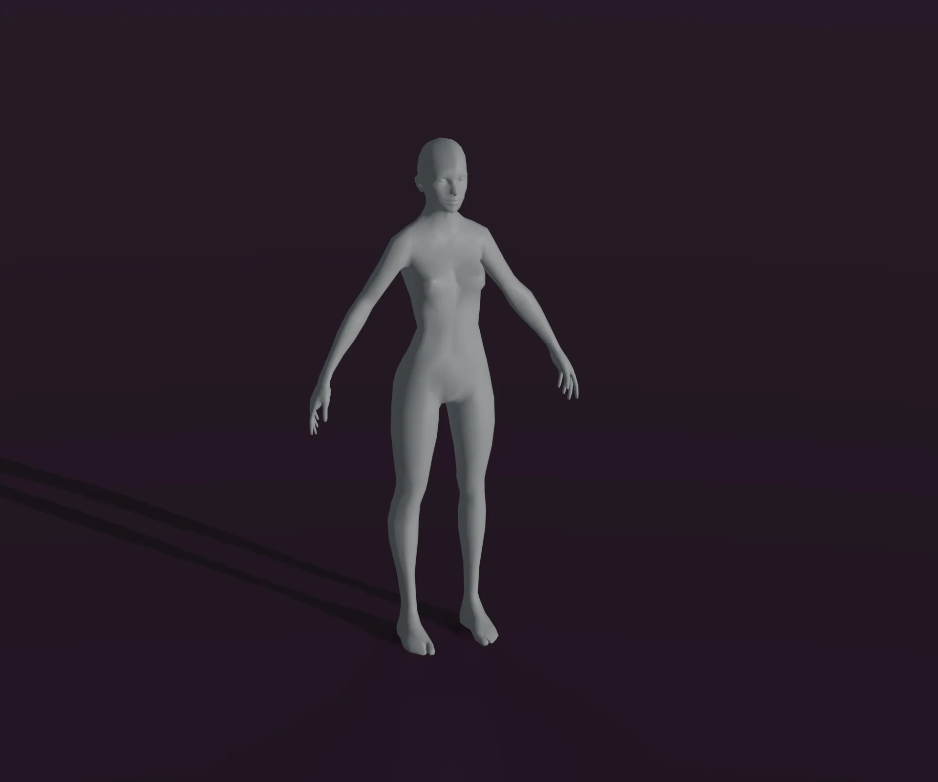 Male and Female Body Base Mesh Animated and Rigged 3D Model