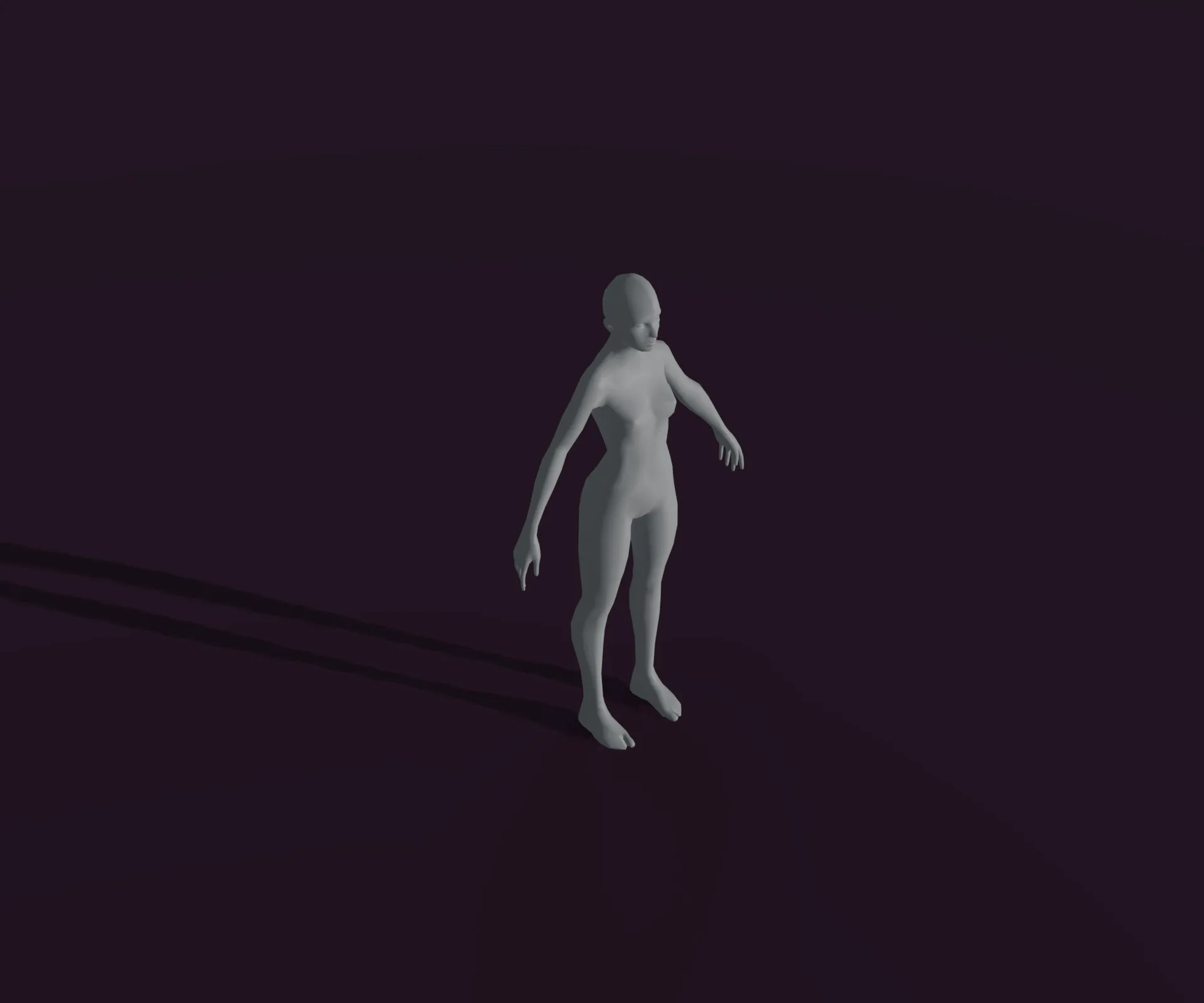 Male and Female Body Base Mesh Animated and Rigged 3D Model