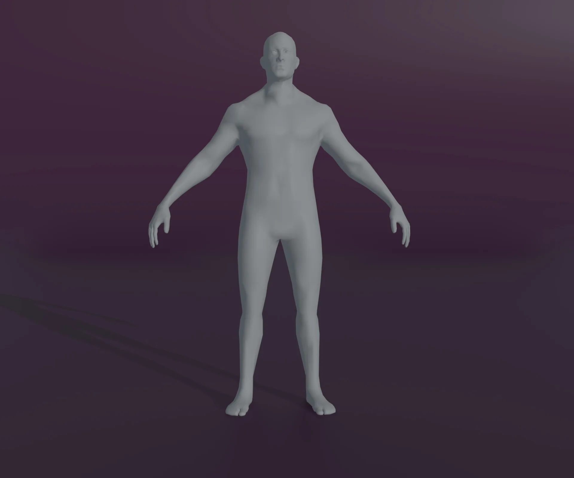 Male and Female Body Base Mesh Animated and Rigged 3D Model