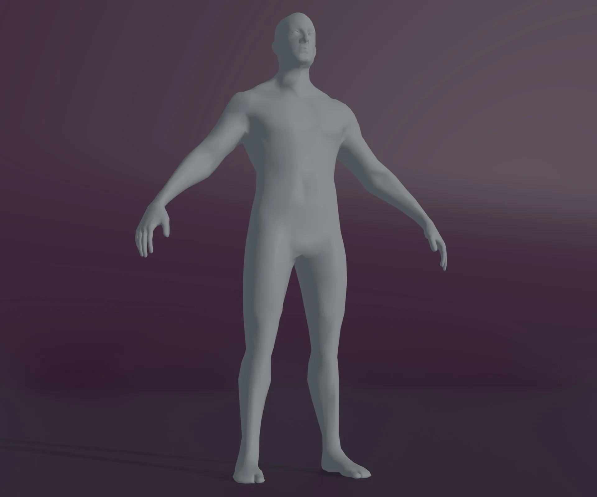 Male and Female Body Base Mesh Animated and Rigged 3D Model