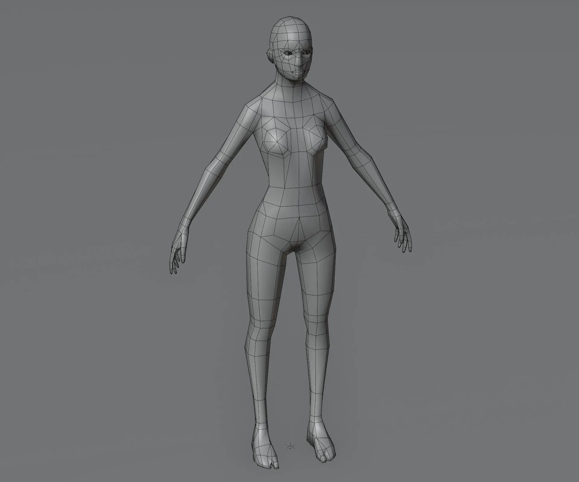 Male and Female Body Base Mesh Animated and Rigged 1k Polygons