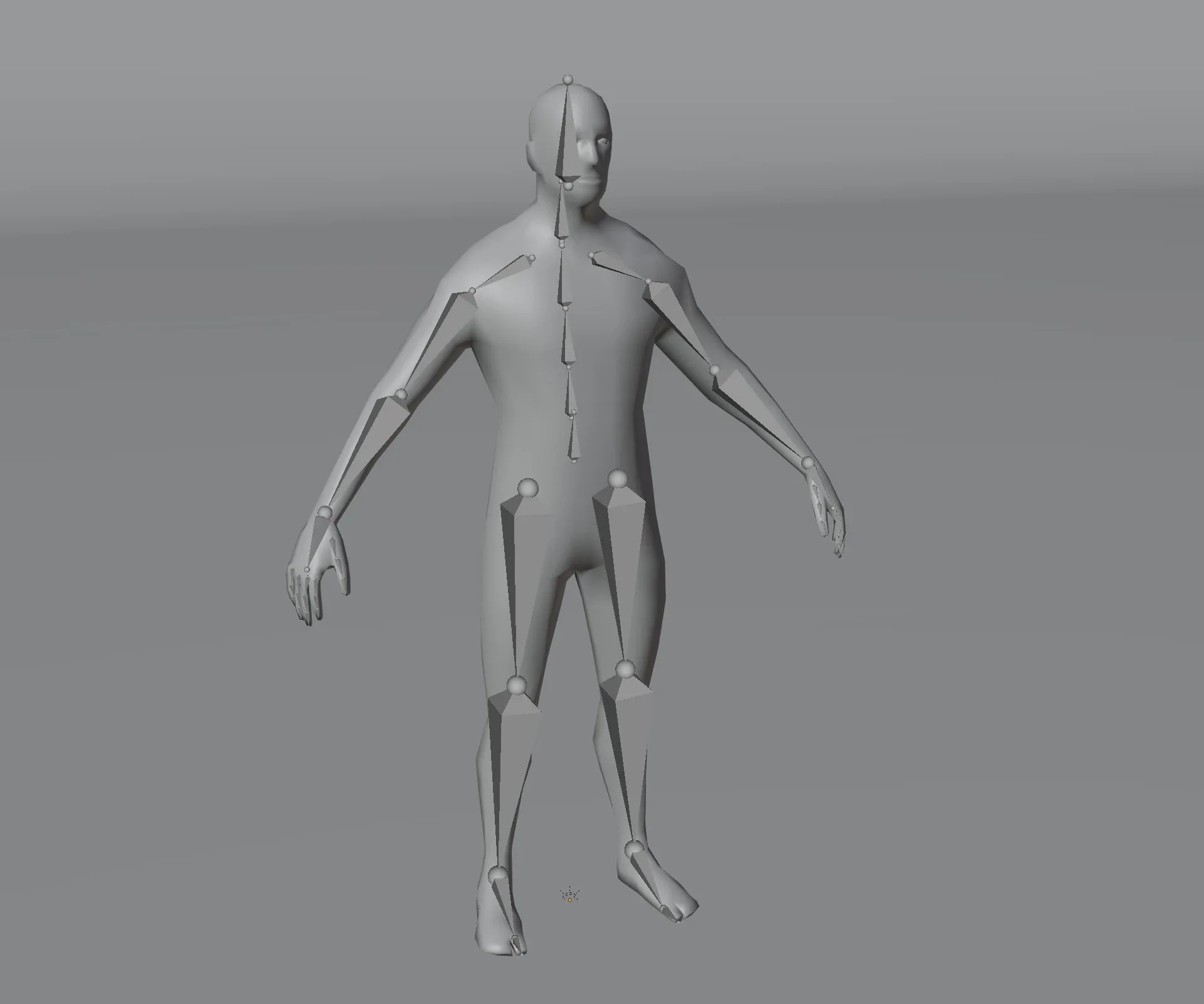 Male and Female Body Base Mesh Animated and Rigged 1k Polygons