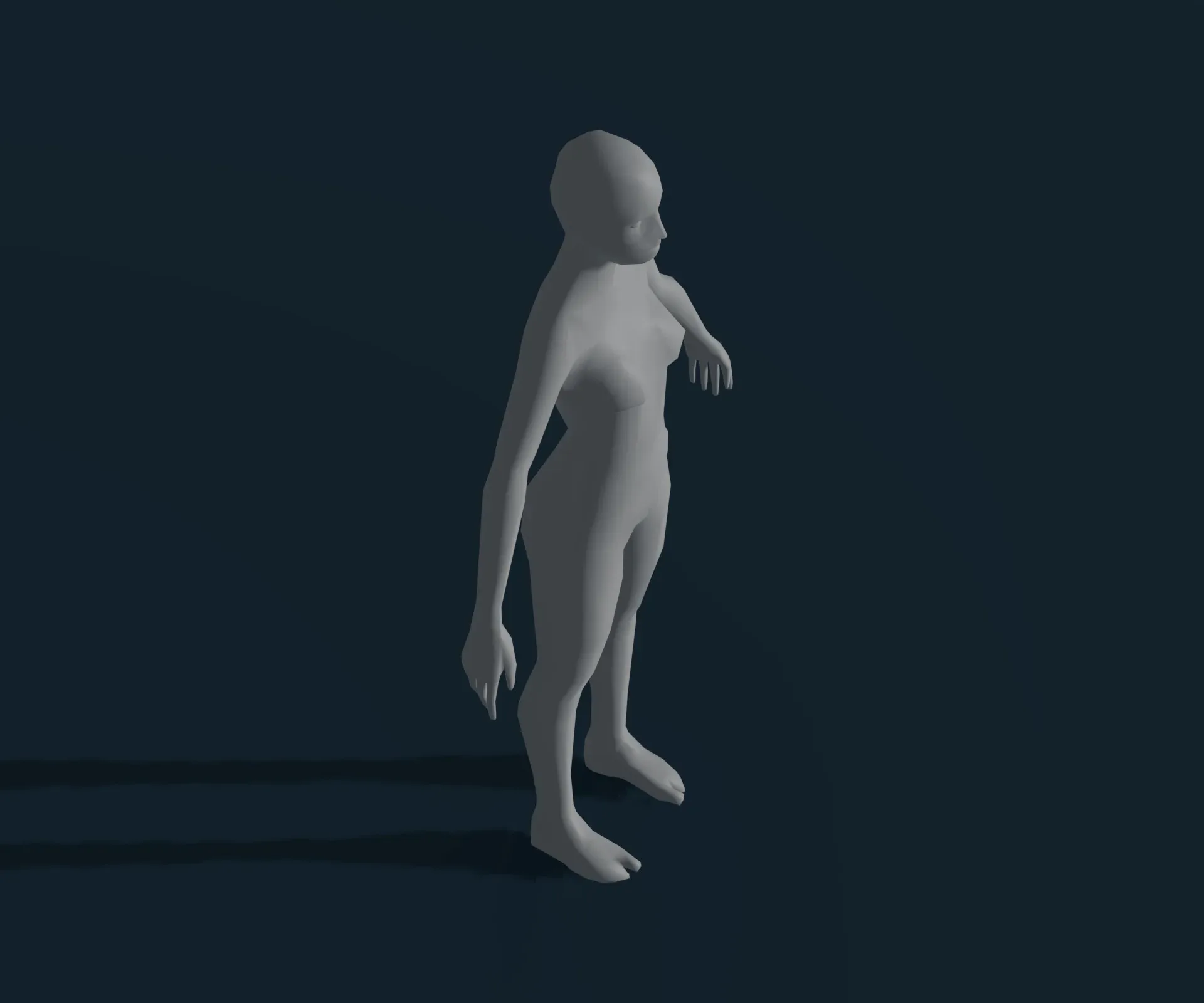 Male and Female Body Base Mesh Animated and Rigged 1k Polygons