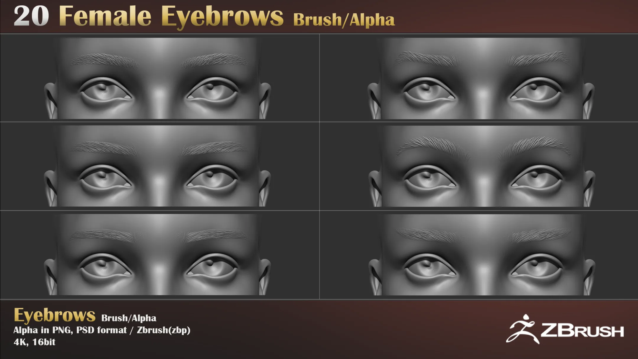 Female Eyebrows Brush & Alpha