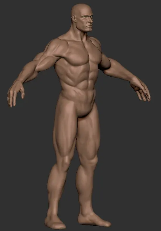 Basemesh male body comics zbrush