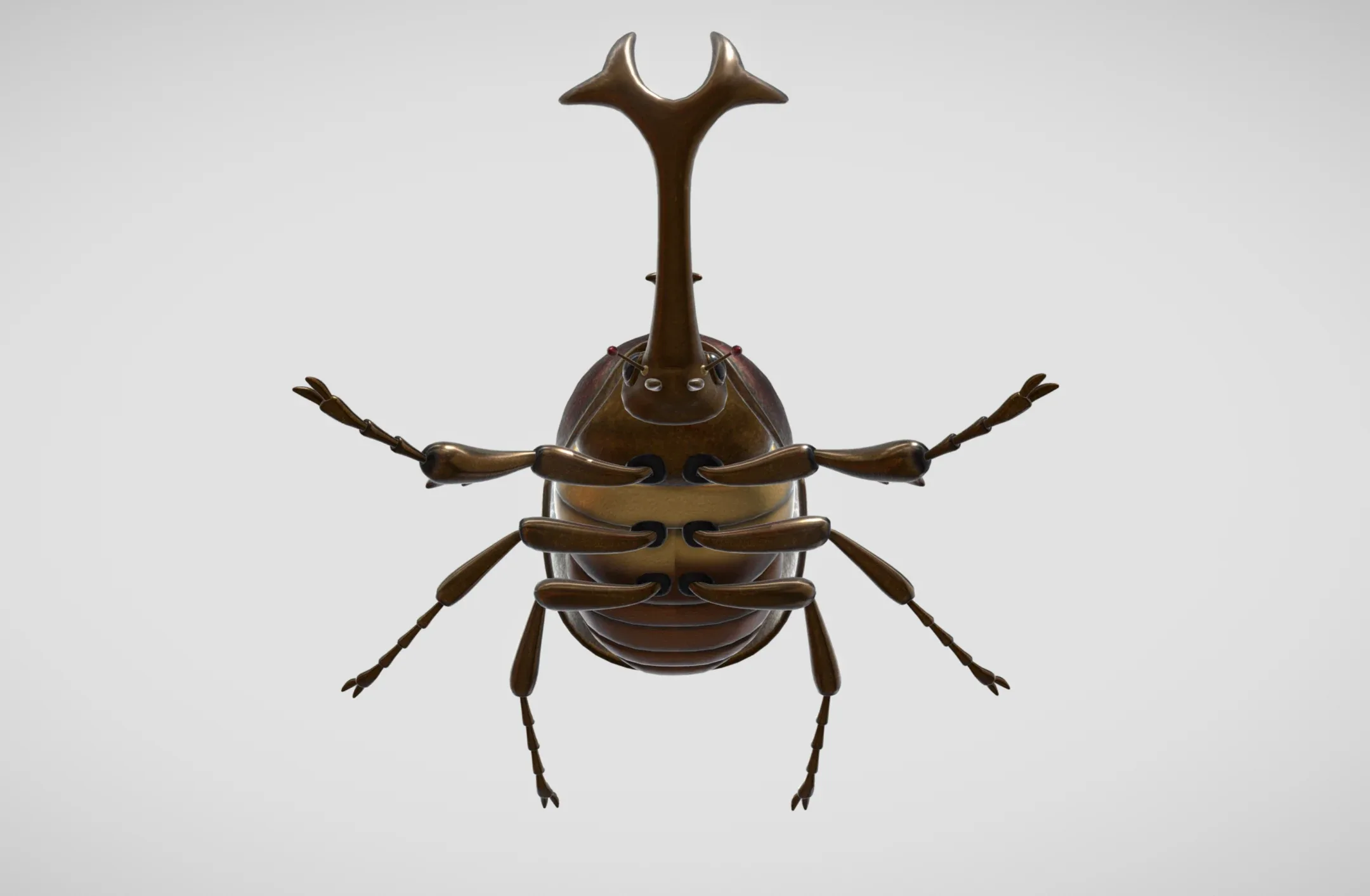 beetle insect