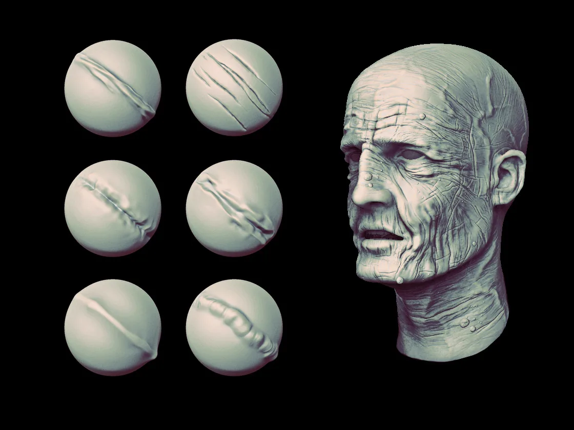 Skin Wrinkles for Zbrush