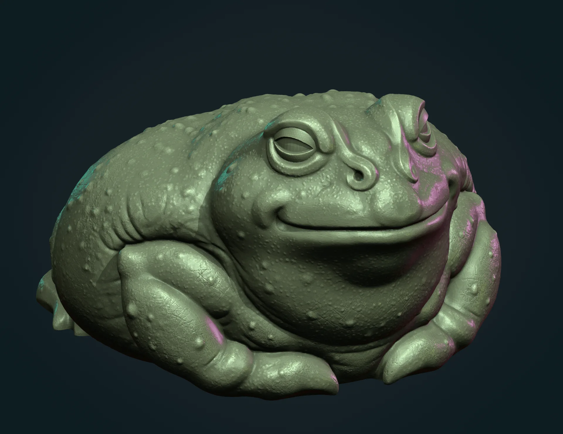 Fat Toad Frog