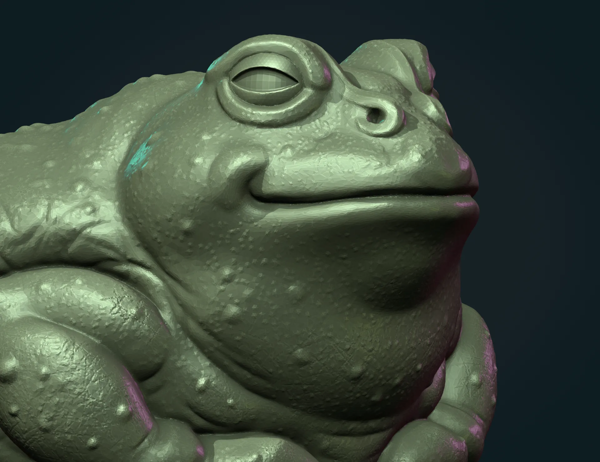 Fat Toad Frog