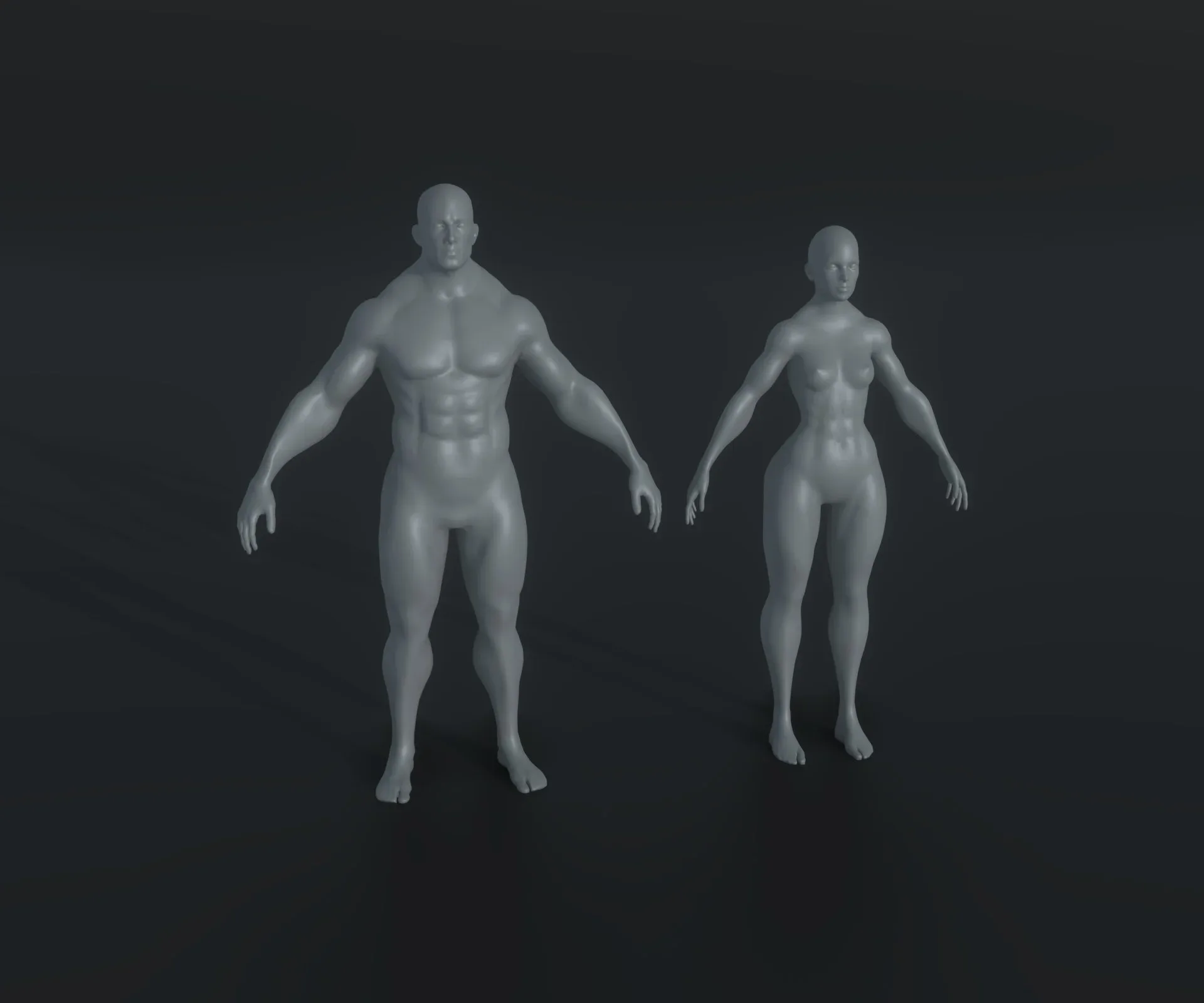 Strong Muscular Male and Female Body Base Mesh Animated and Rigged 3D Model 20k Polygons