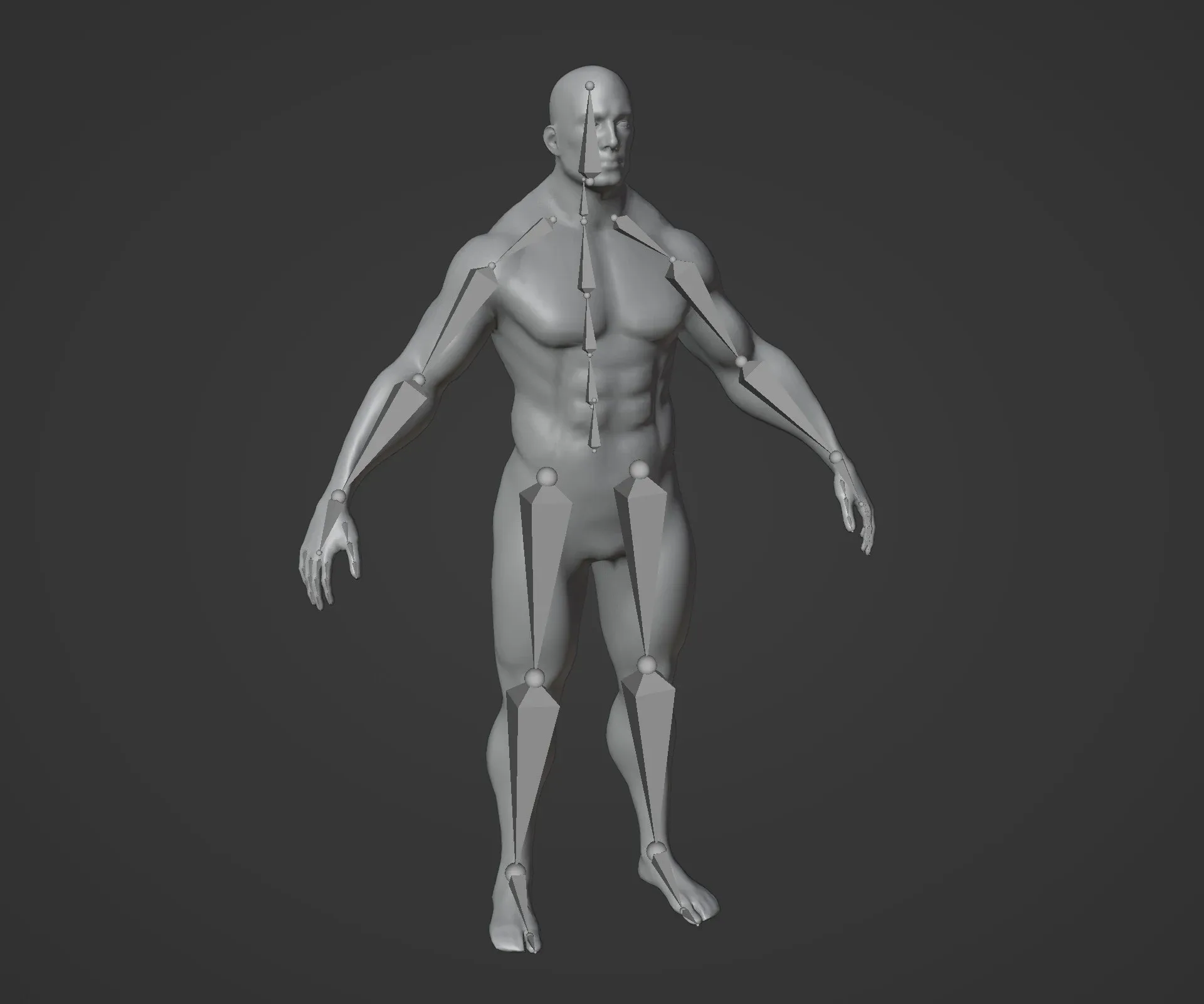 Strong Muscular Male and Female Body Base Mesh Animated and Rigged 3D Model 20k Polygons