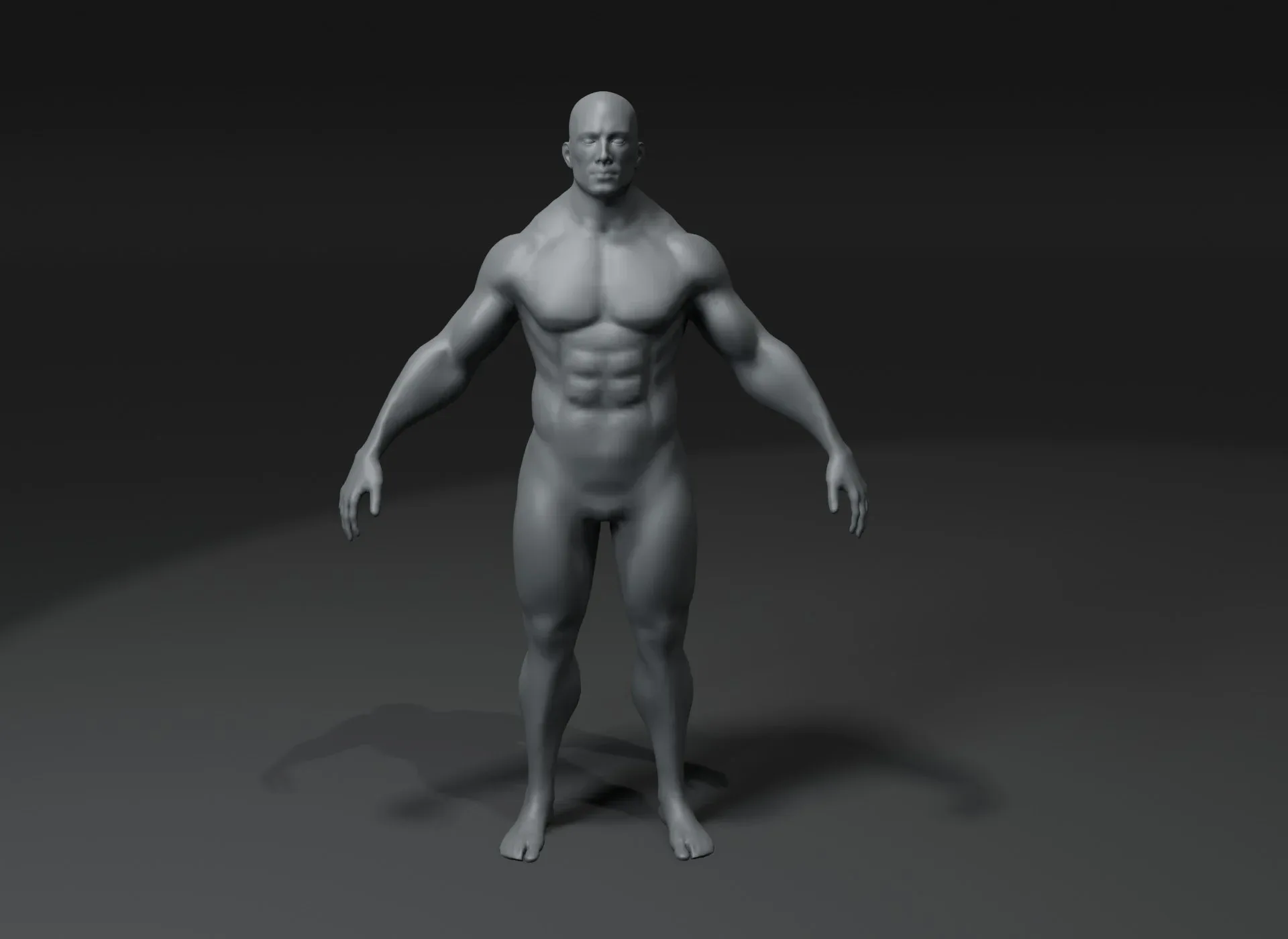 Strong Muscular Male and Female Body Base Mesh Animated and Rigged 3D Model 20k Polygons